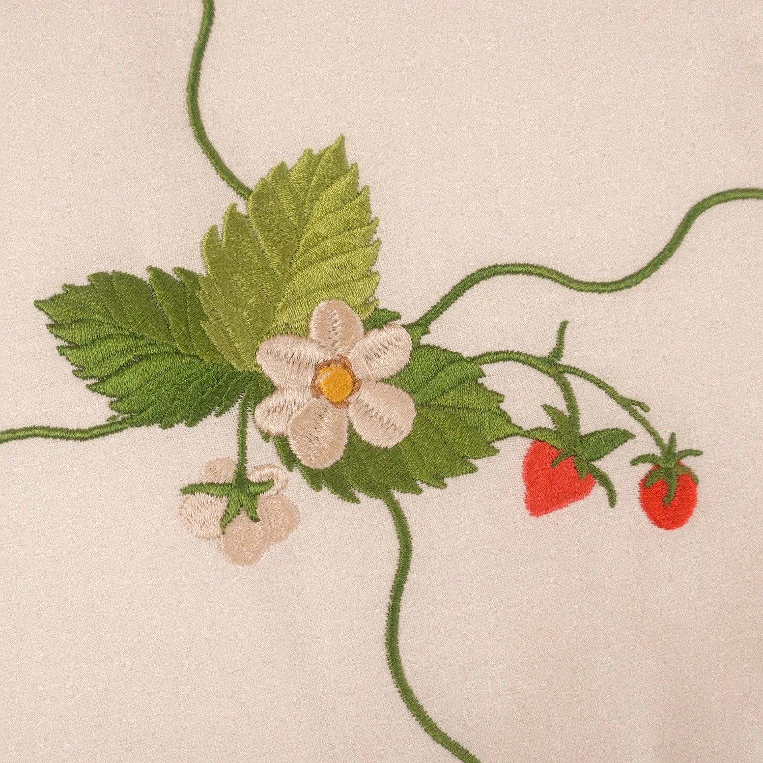 Strawberry Patch Hot Water Bottle