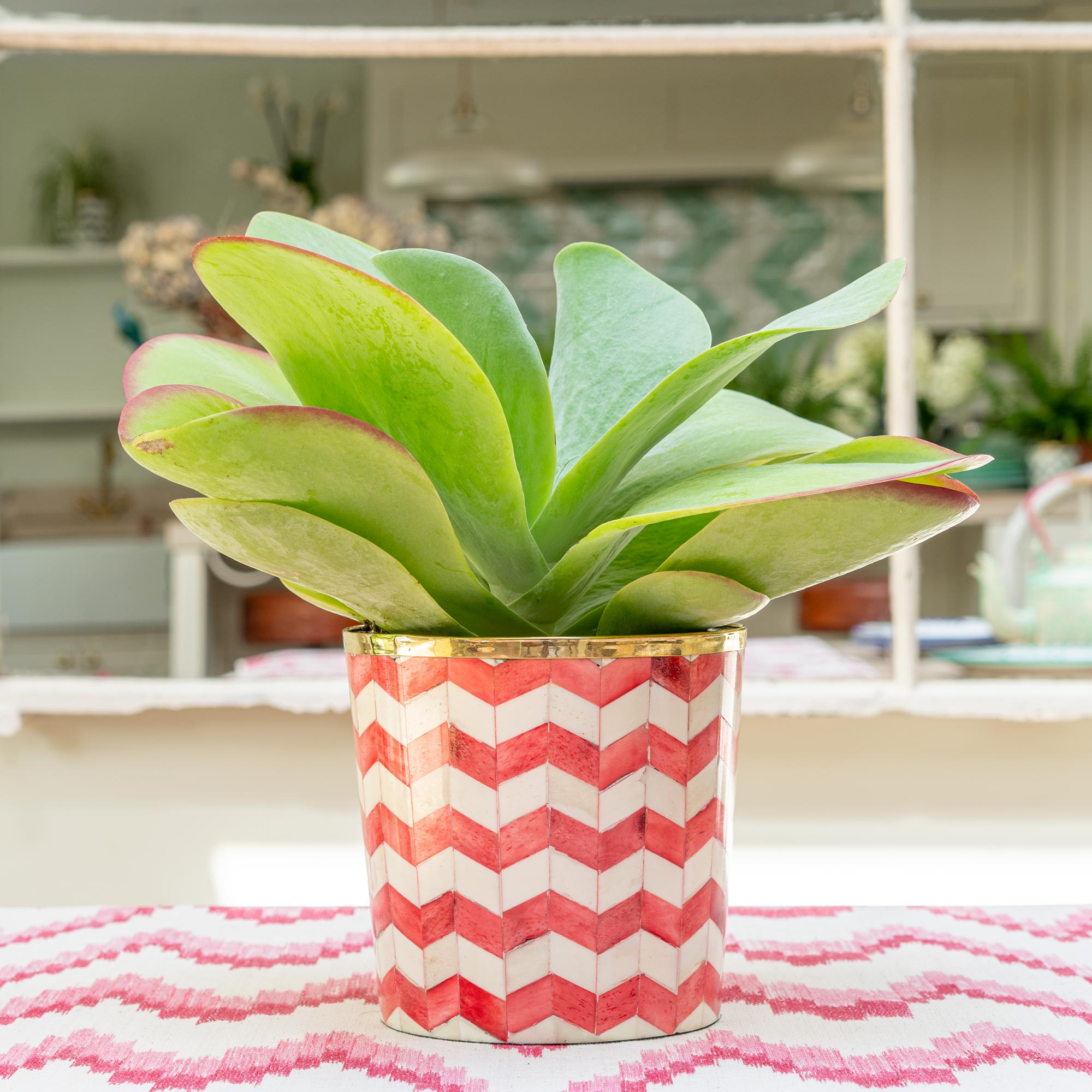 Round Inlay Planter | Medium | Red | Chevron