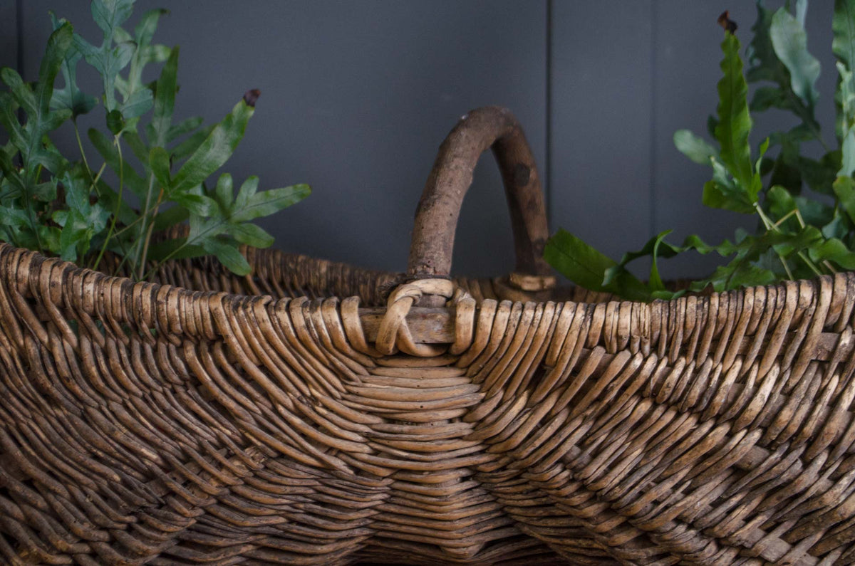 Large 19th Century French Grape Picking Donkey Buttocks Basket