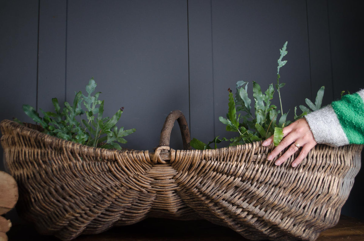 Large 19th Century French Grape Picking Donkey Buttocks Basket