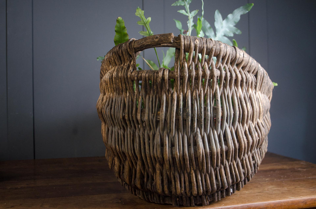 Large 19th Century French Grape Picking Donkey Buttocks Basket