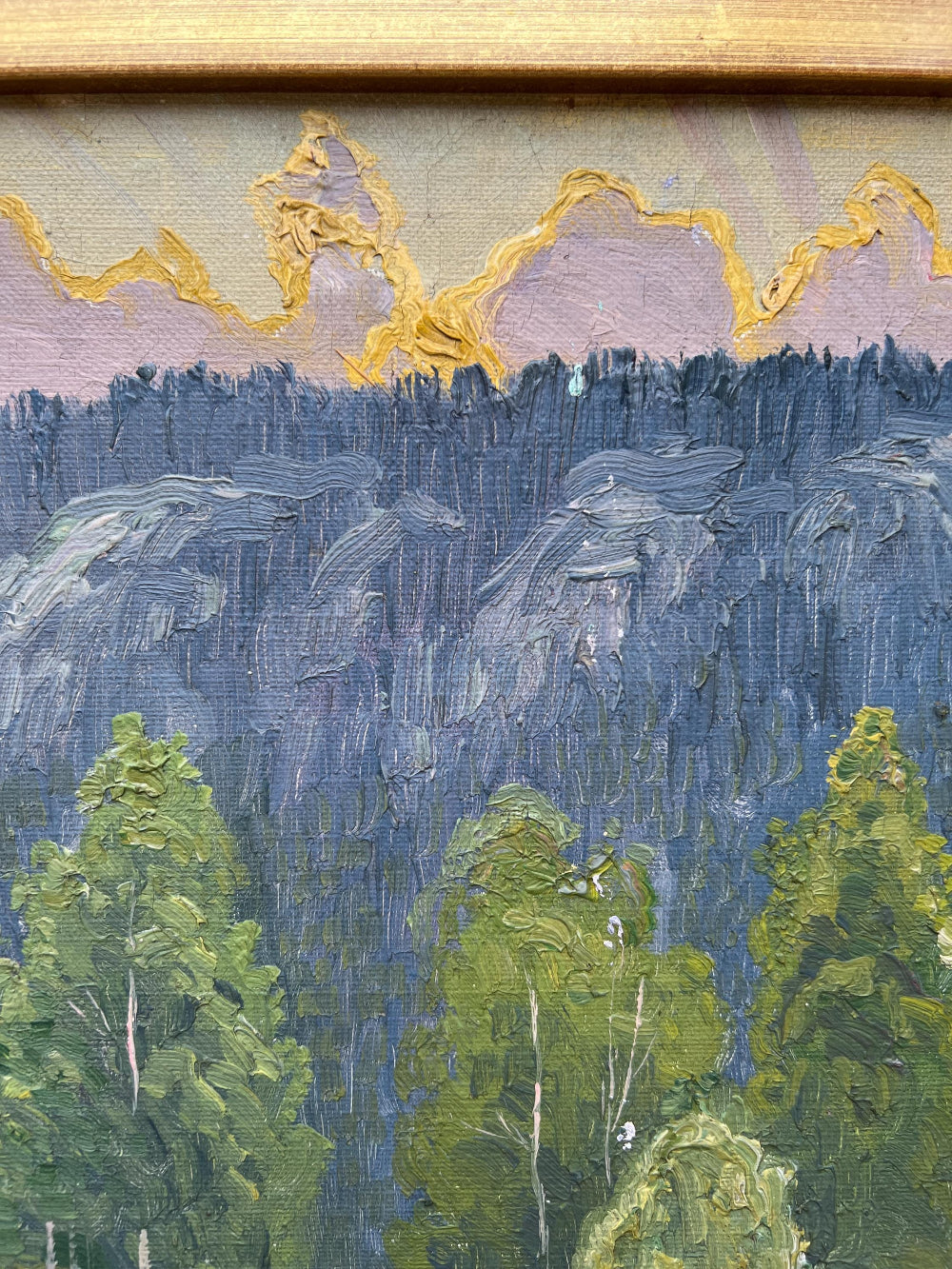 FOREST SUNSET