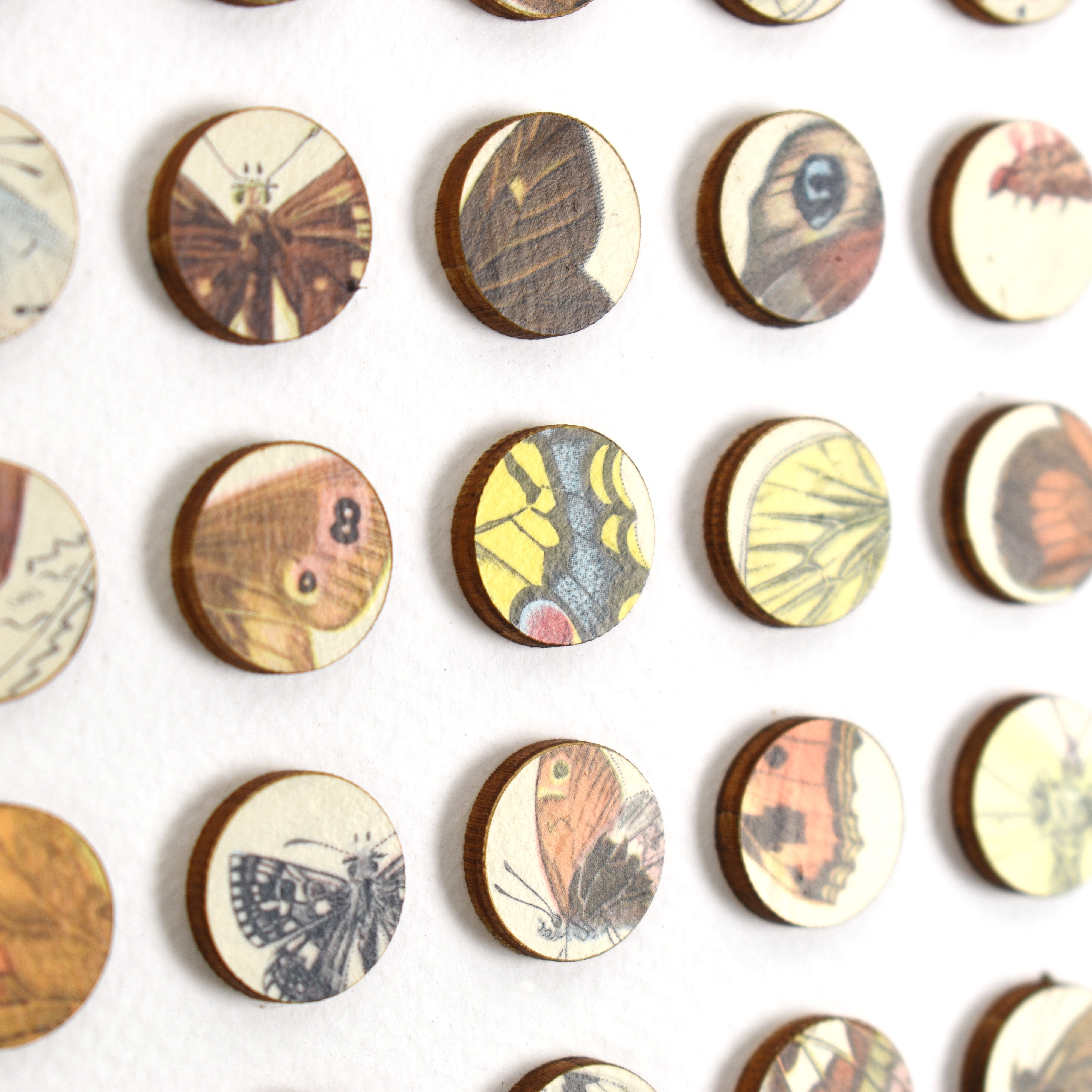 Two Hundred and Fifty Six Butterfly Dots Collage