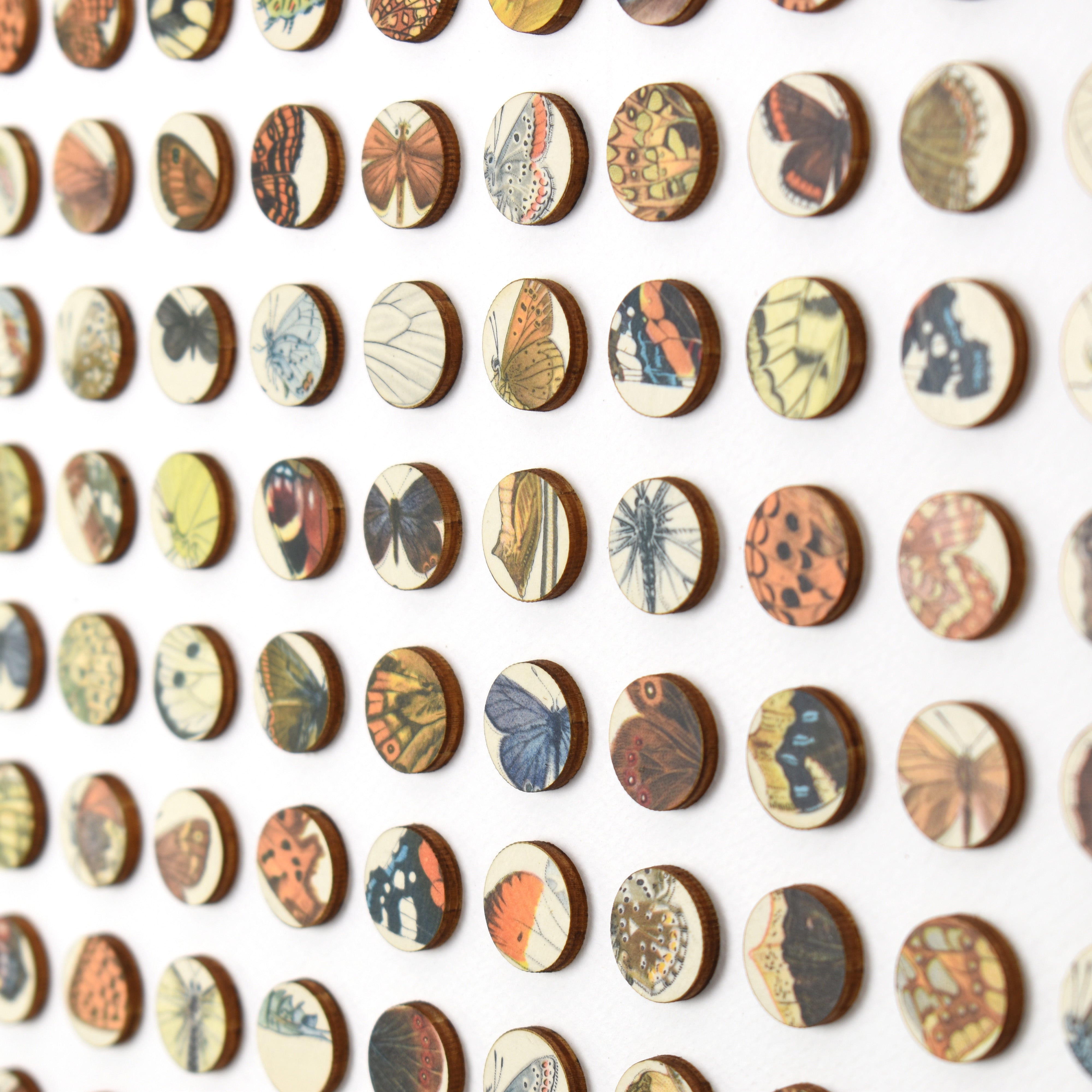 Two Hundred and Fifty Six Butterfly Dots Collage