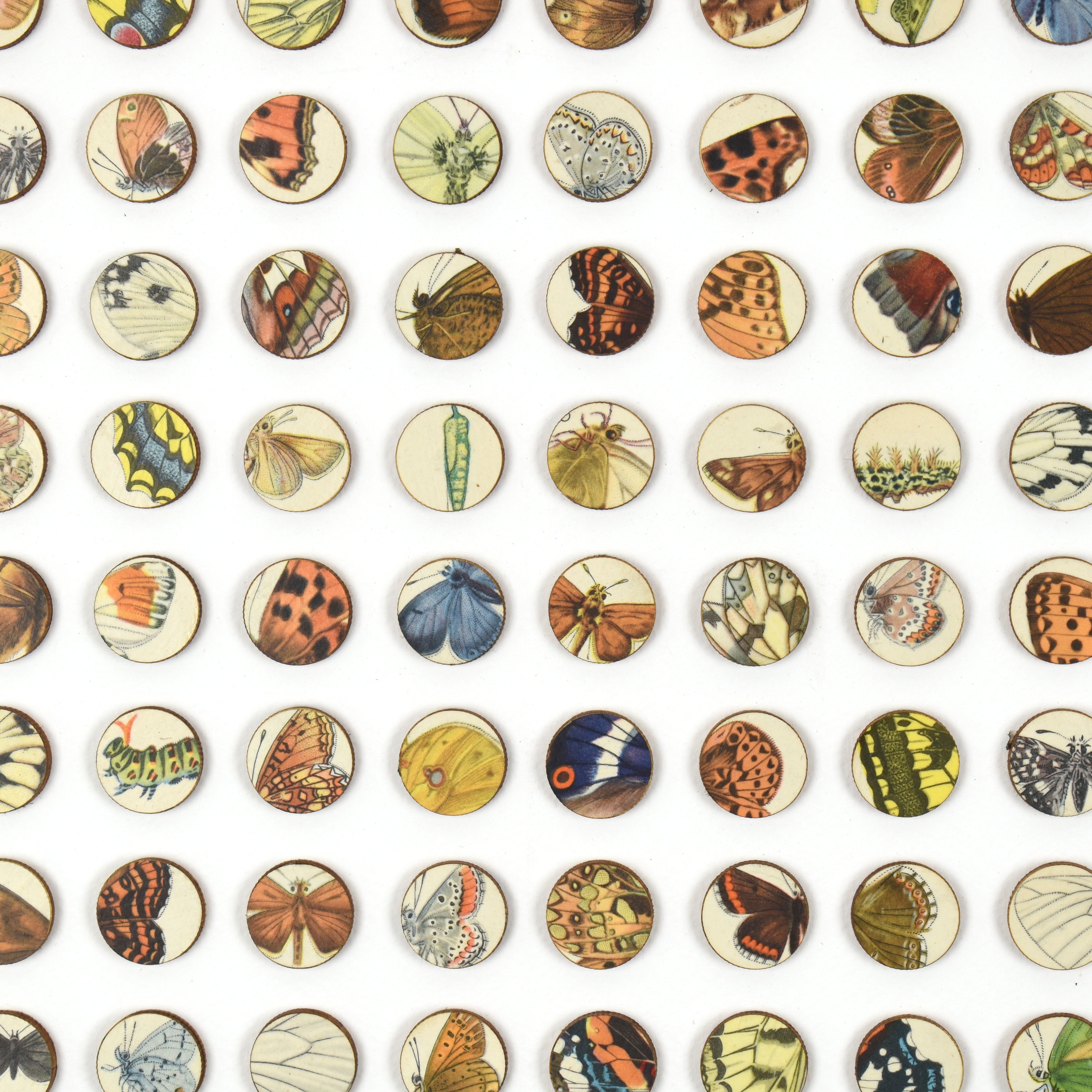 Two Hundred and Fifty Six Butterfly Dots Collage