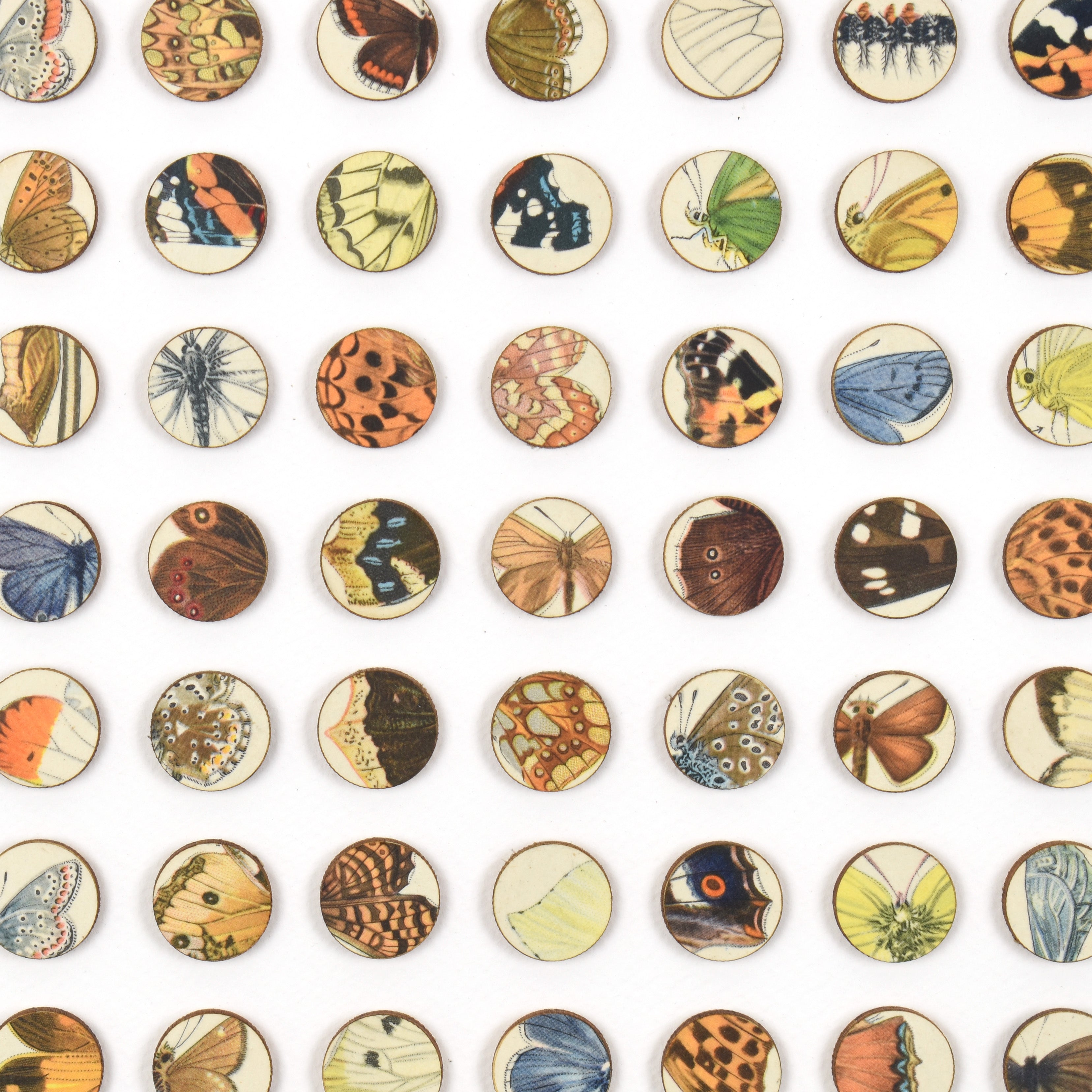 Two Hundred and Fifty Six Butterfly Dots Collage