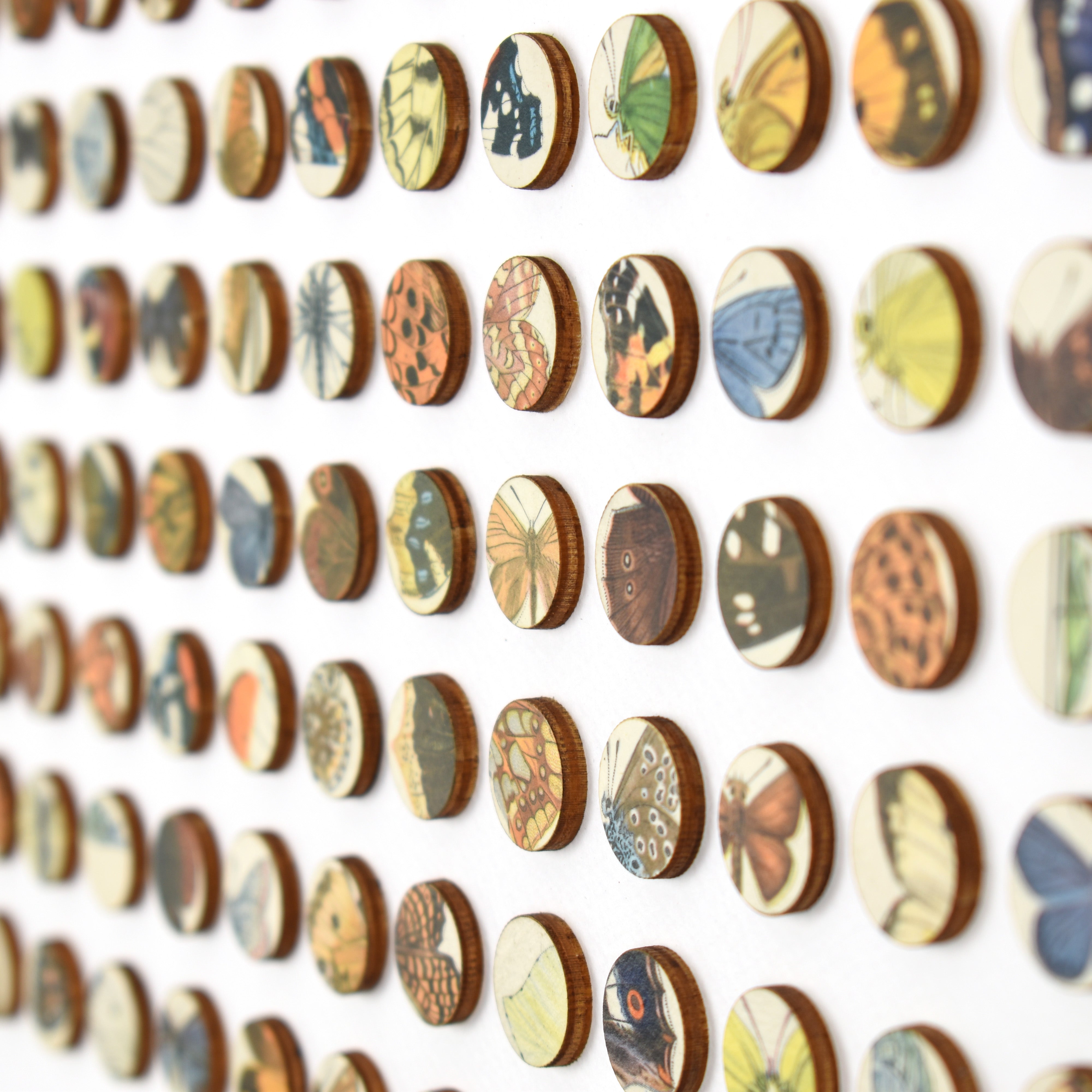 Two Hundred and Fifty Six Butterfly Dots Collage