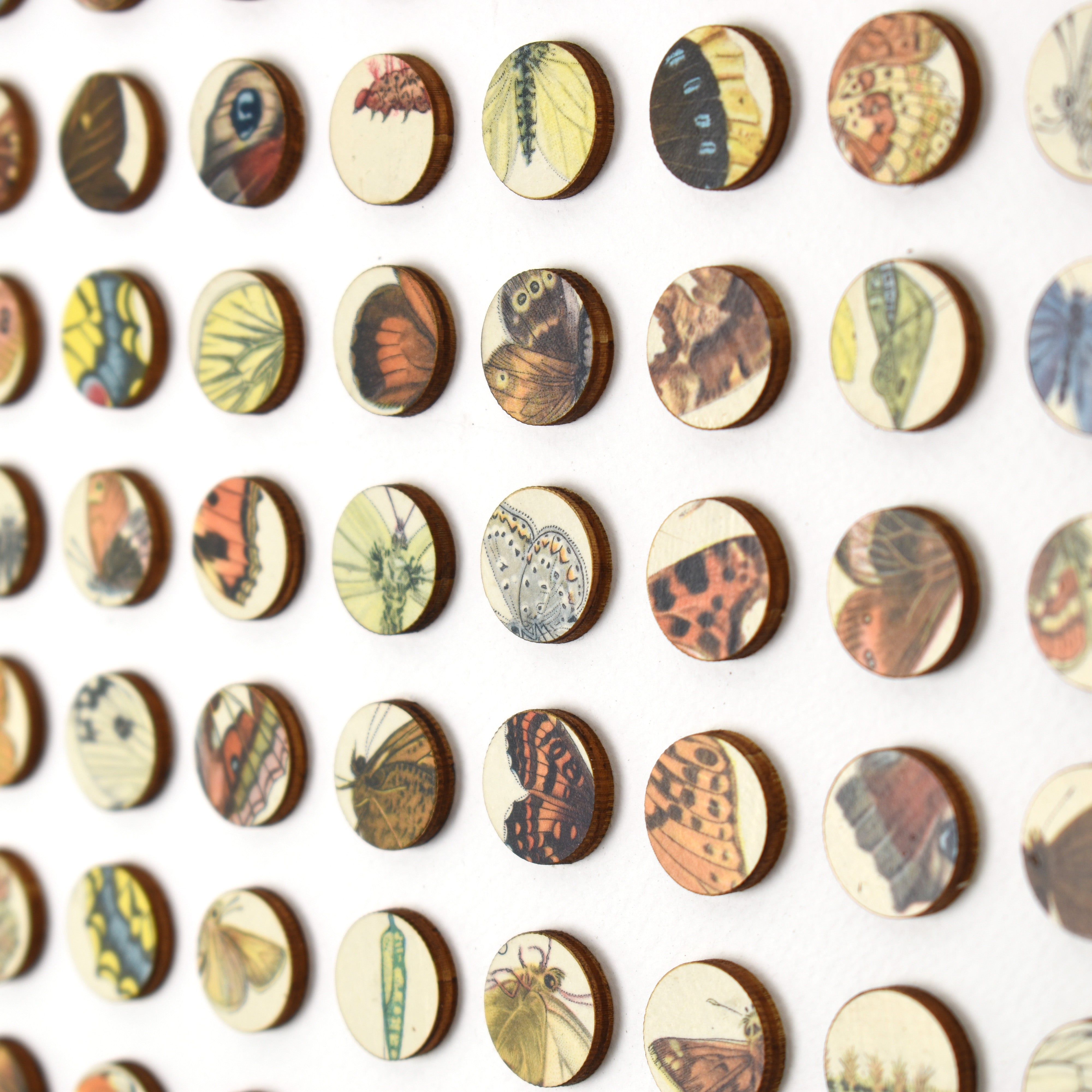 Two Hundred and Fifty Six Butterfly Dots Collage