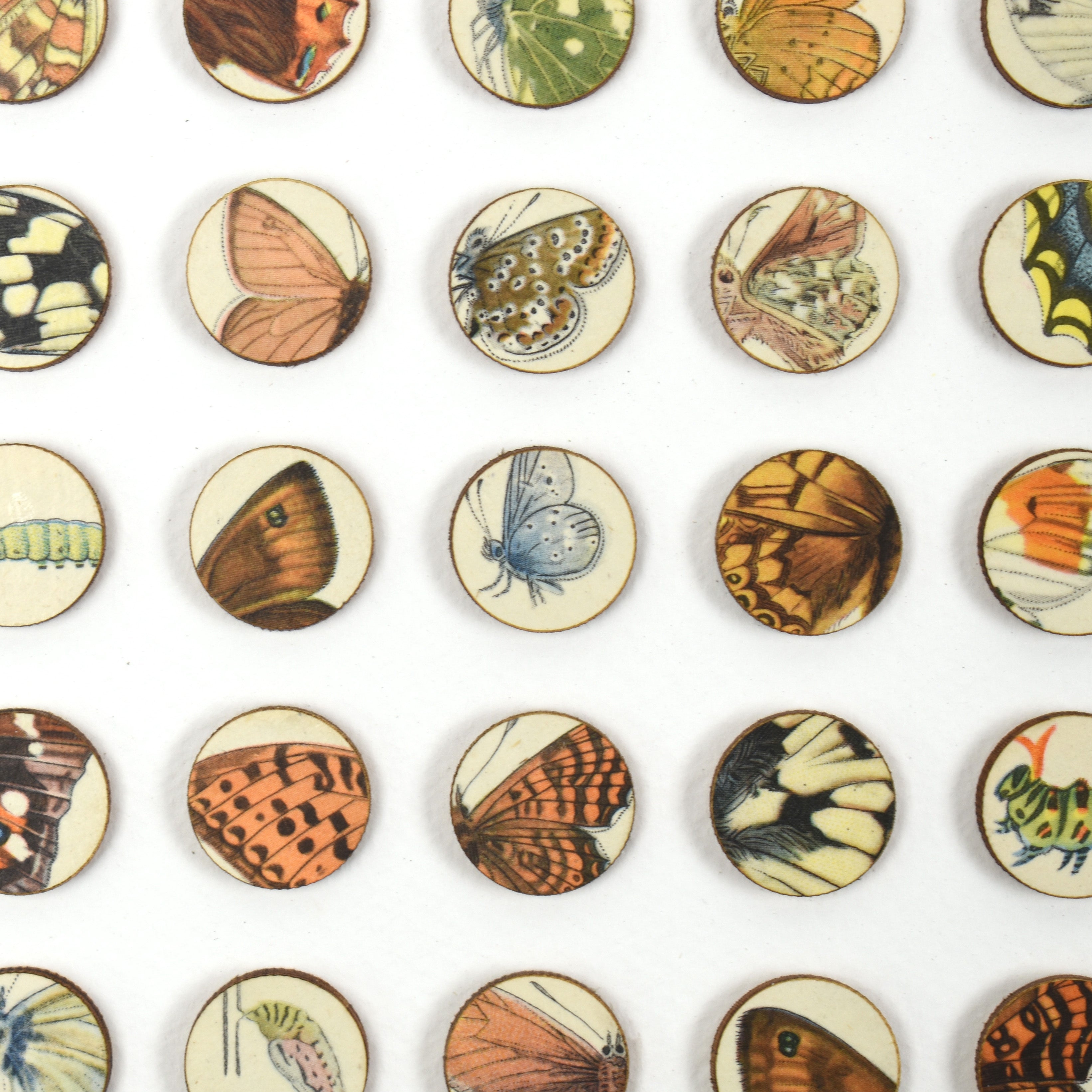 Two Hundred and Fifty Six Butterfly Dots Collage