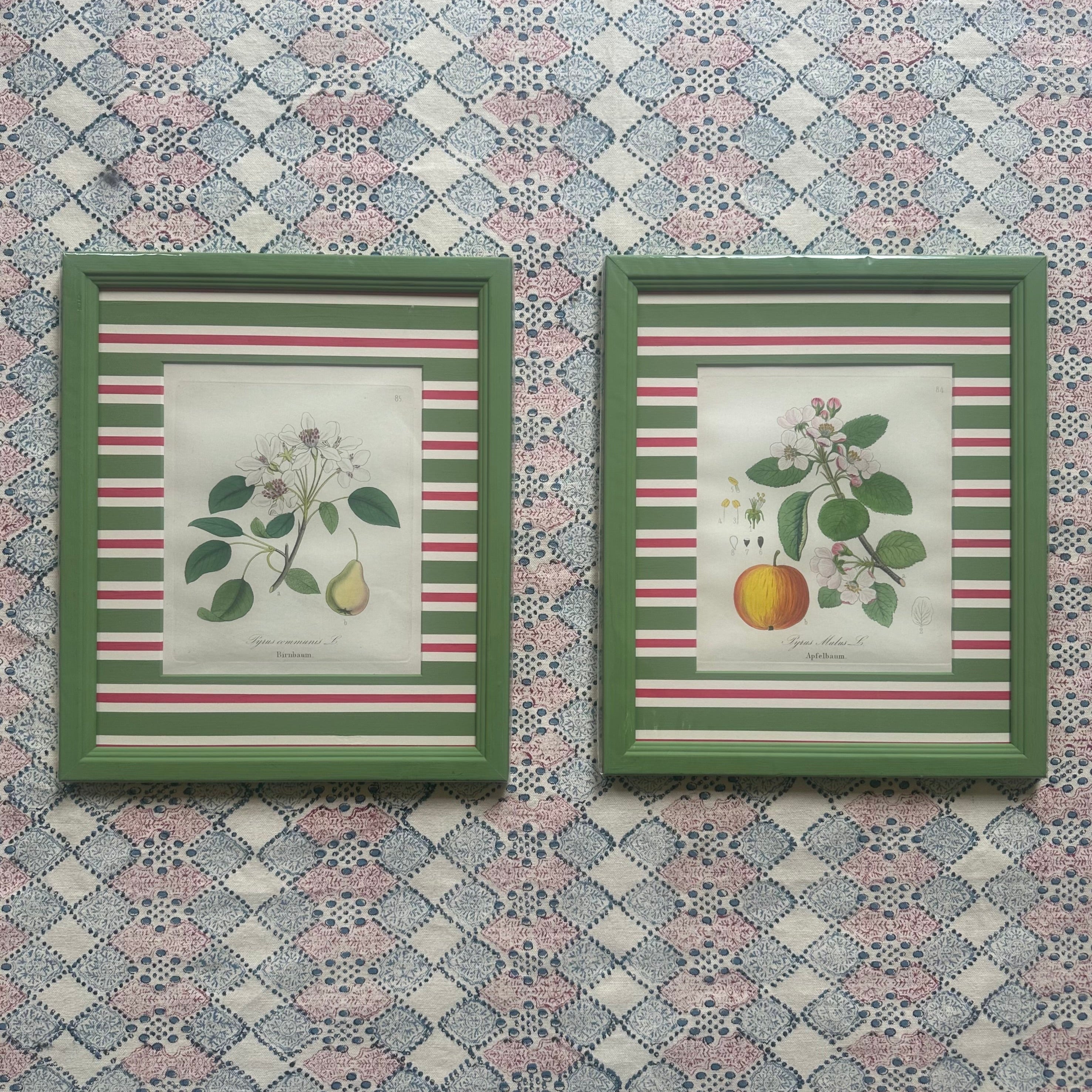 Apple and Pear 19th Century Antique Prints