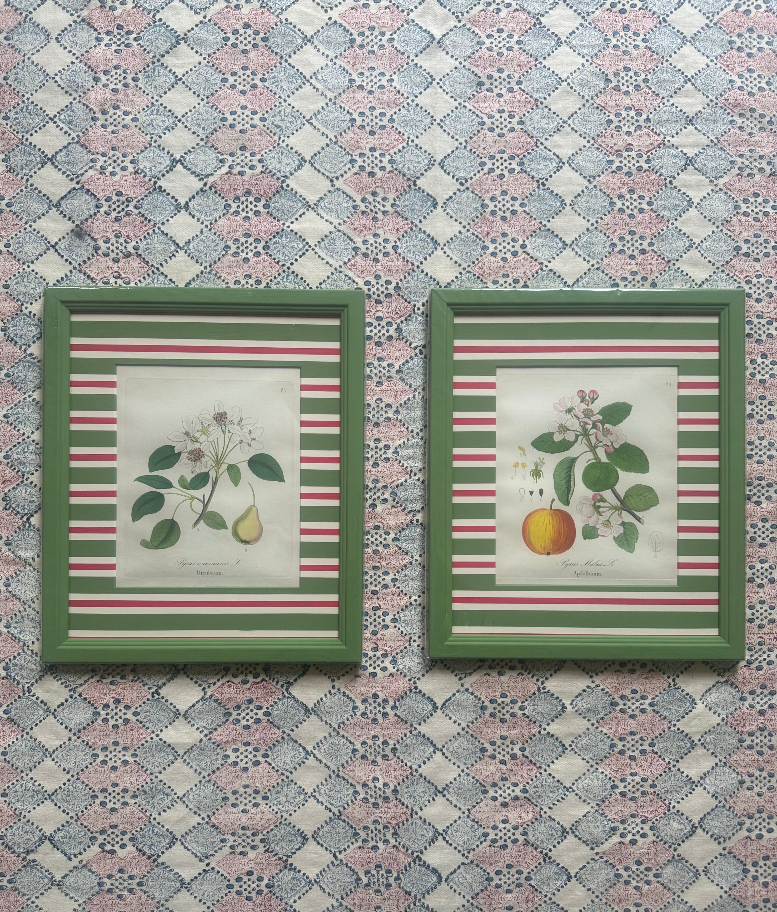 Apple and Pear Nineteenth Century Antique Prints