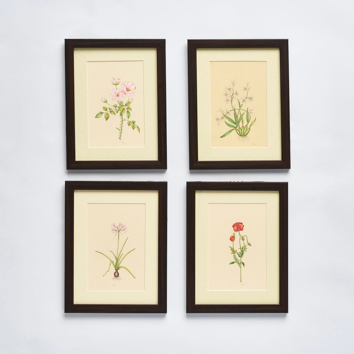 English Garden' - Original Hand Painted Watercolours of Flowers (Set of 4)