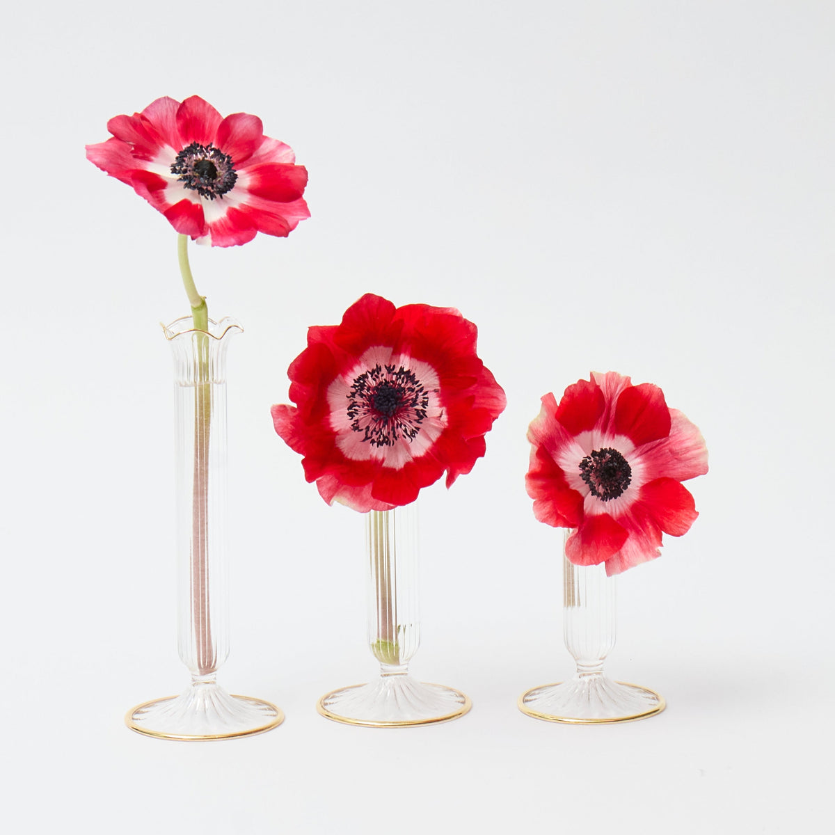 Fluted Gold Edged Single Stem Bud Vases (Set of 3)
