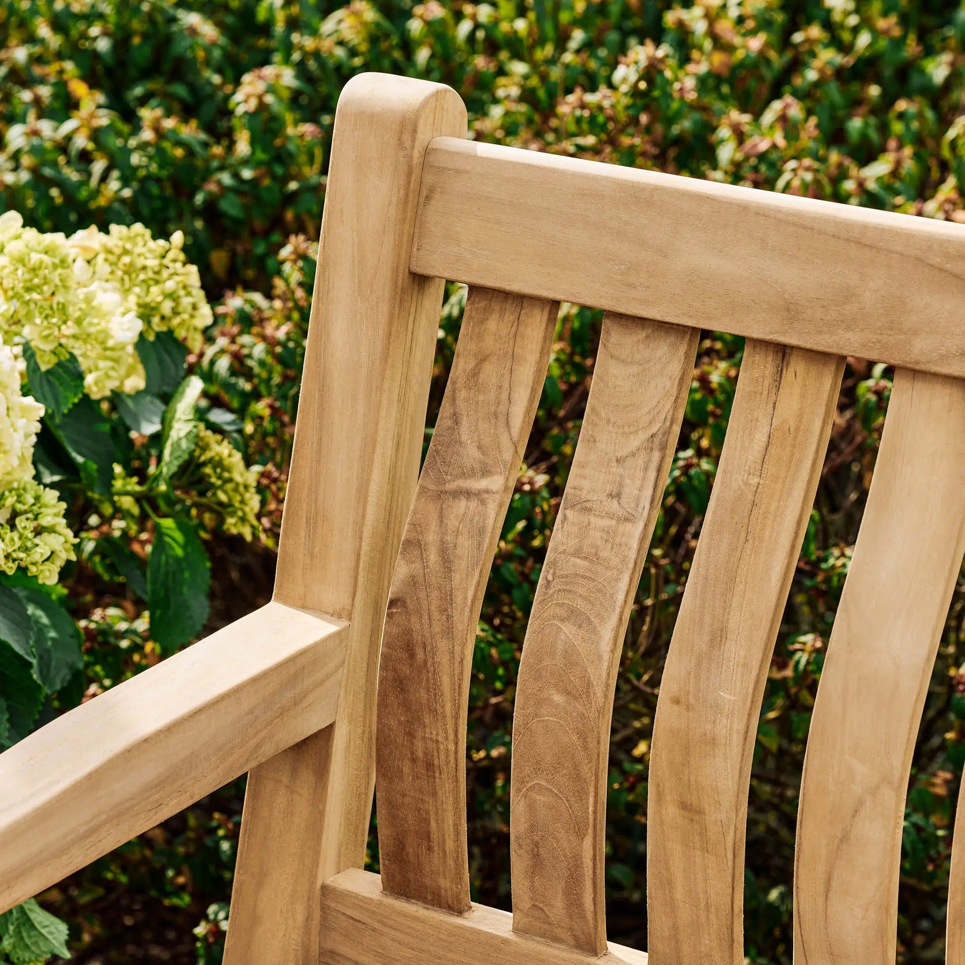 Ergo Teak Armchair