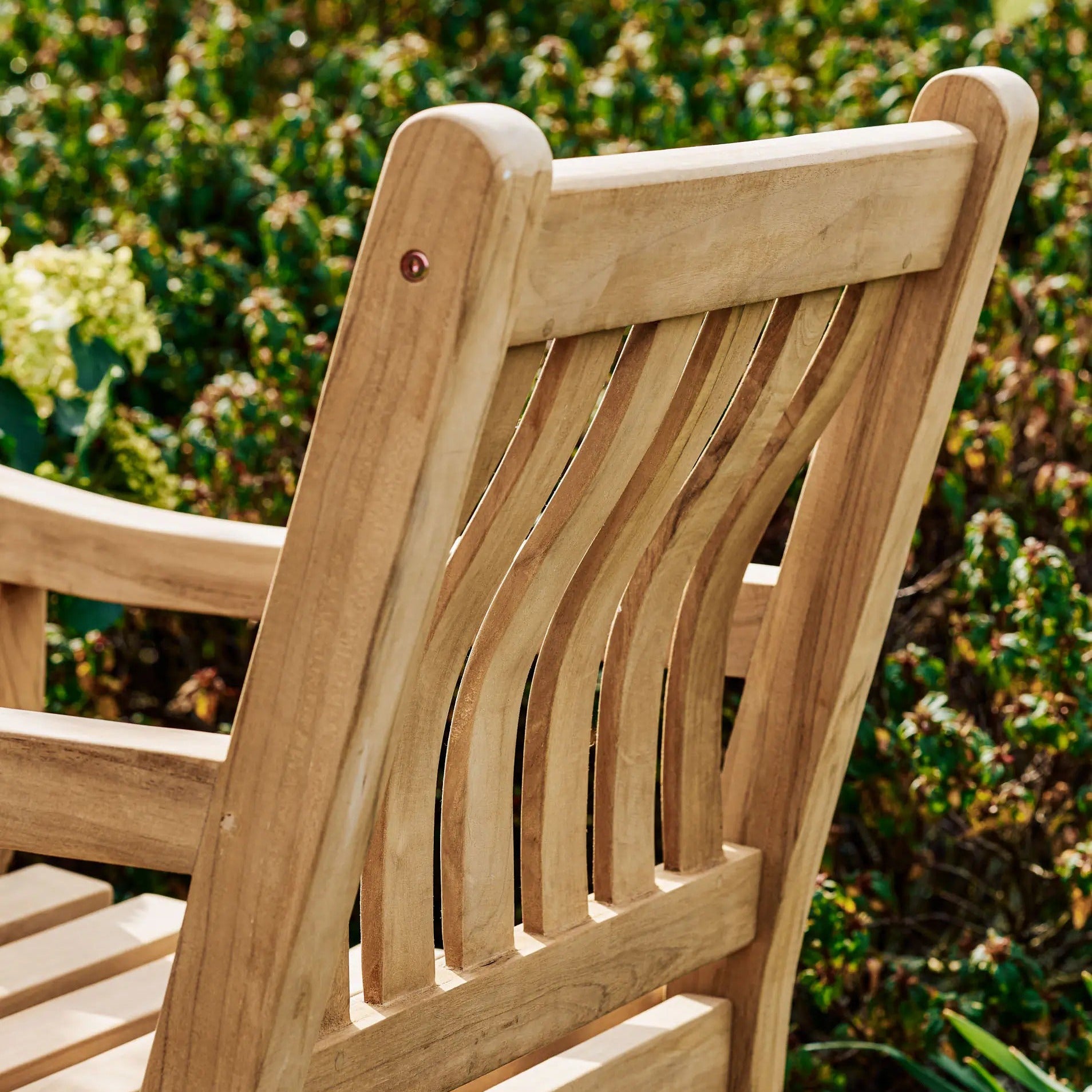 Ergo Teak Armchair