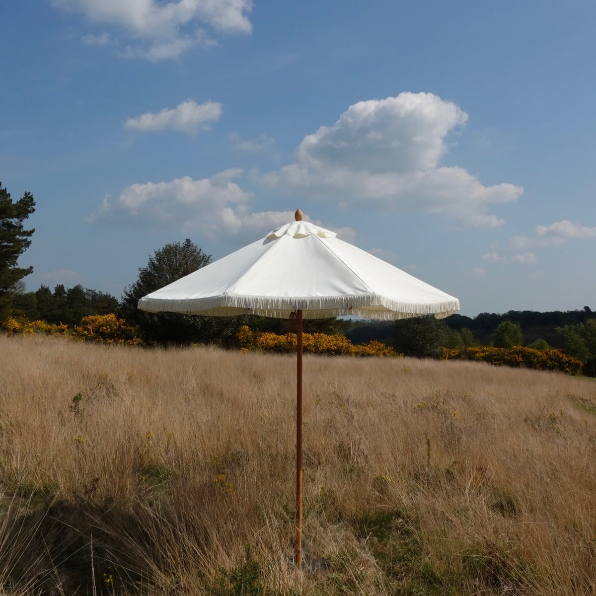 Double Cream Fringed Parasol