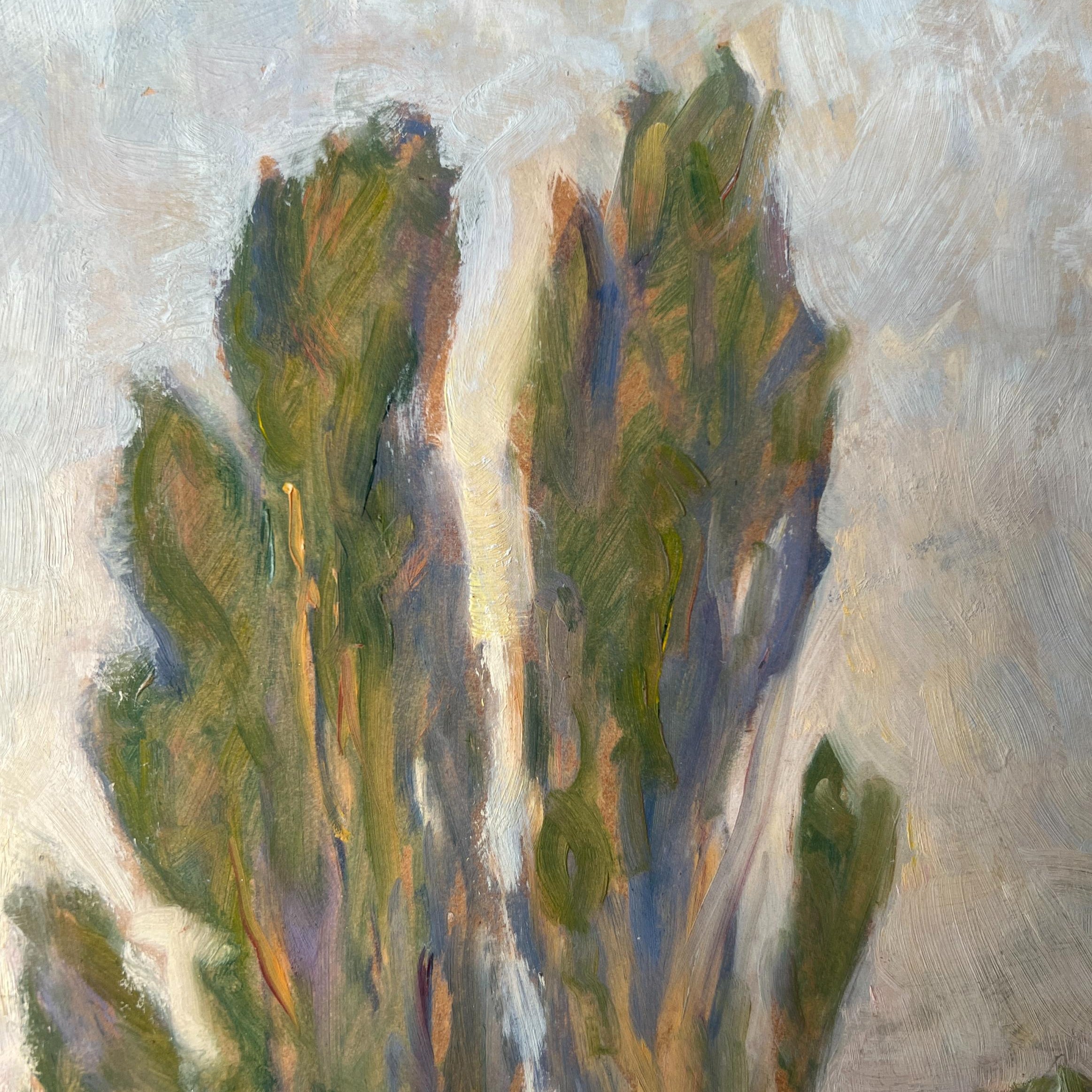 Coastal Poplars Oil Painting