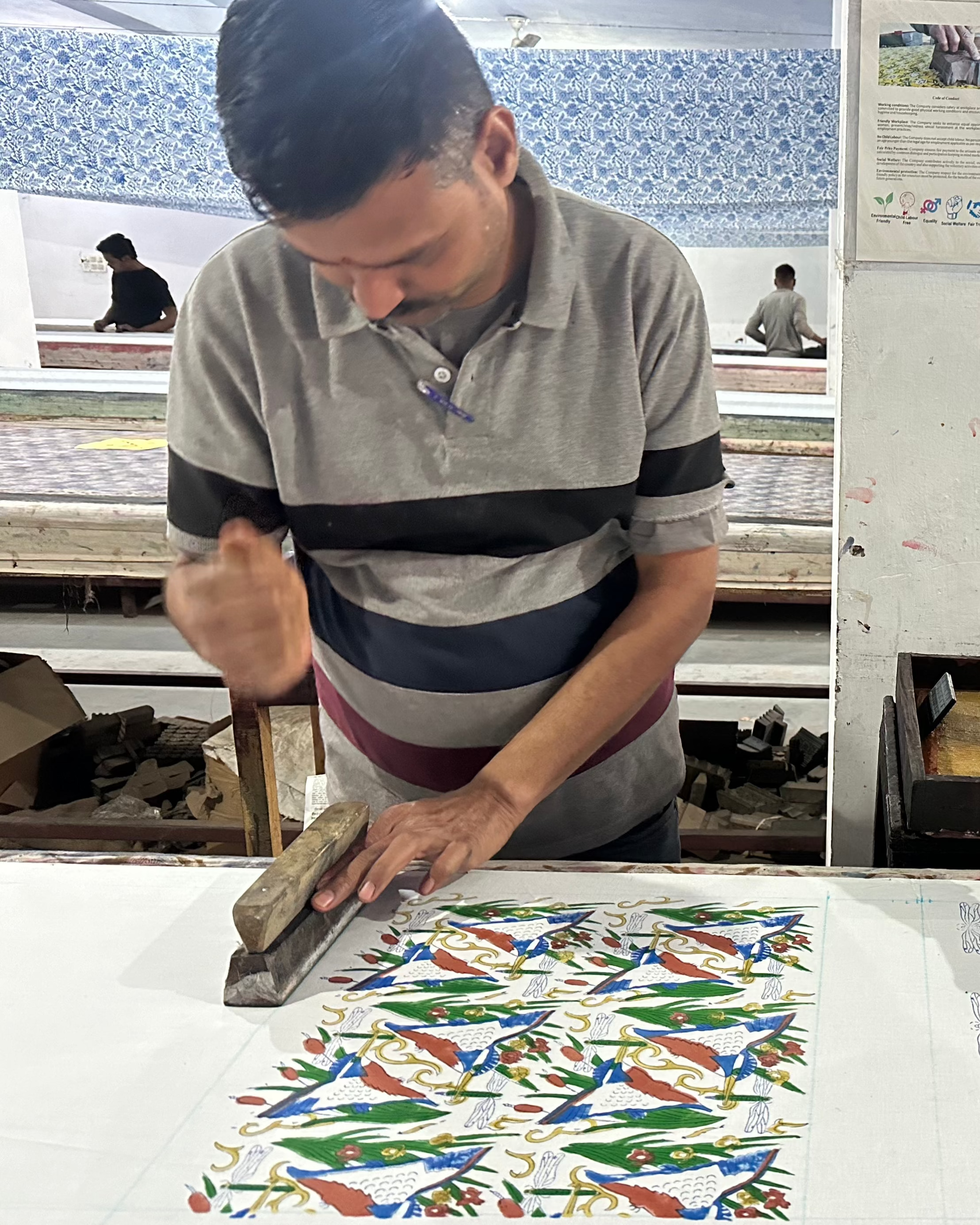 Kingfisher Organic Cotton Piped Cushion Cover