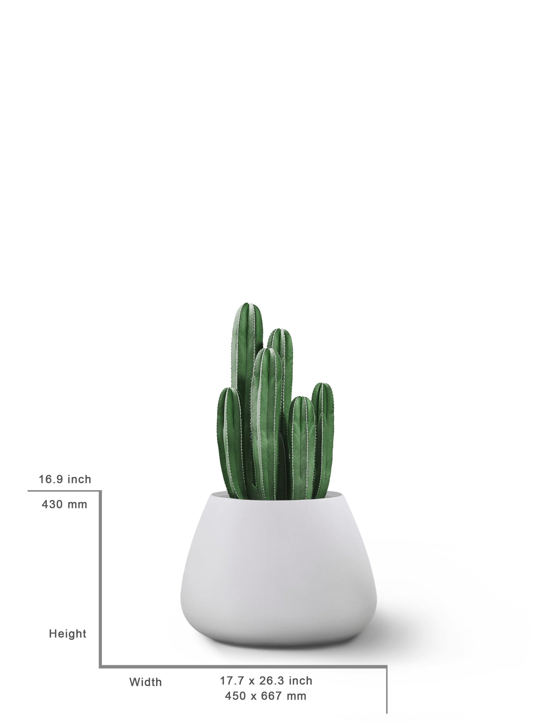 Tuber Stone Planter