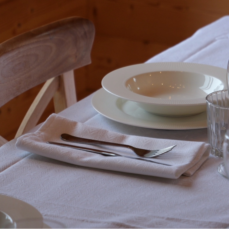 White Alpine Chalet Cotton Gingham Napkin | Set of 4