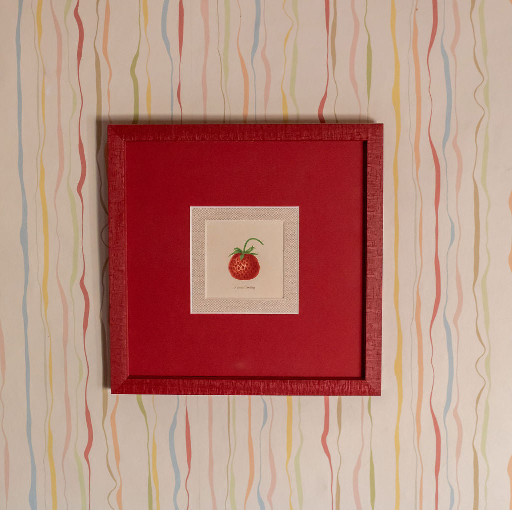 Indian Ink Wallcovering | Candy Stripe