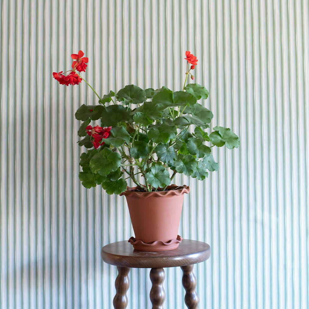 Modern Ticking Stripe Wallpaper | Seafoam