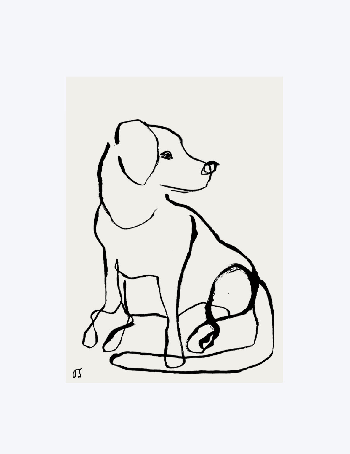 The Labrador