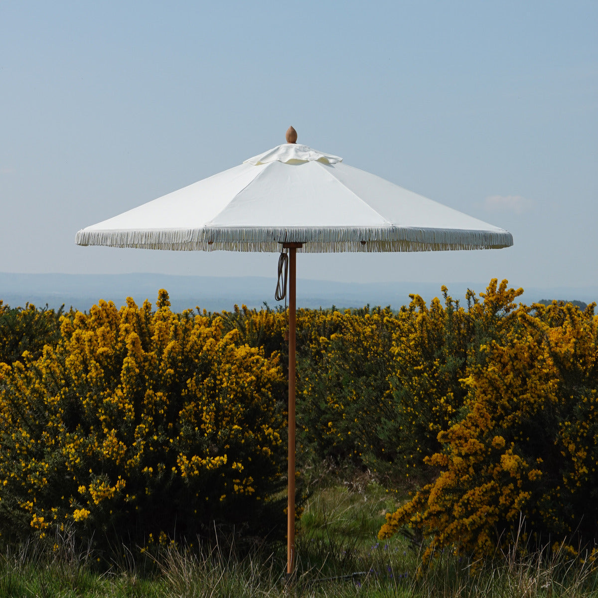 Double Cream Fringed Parasol