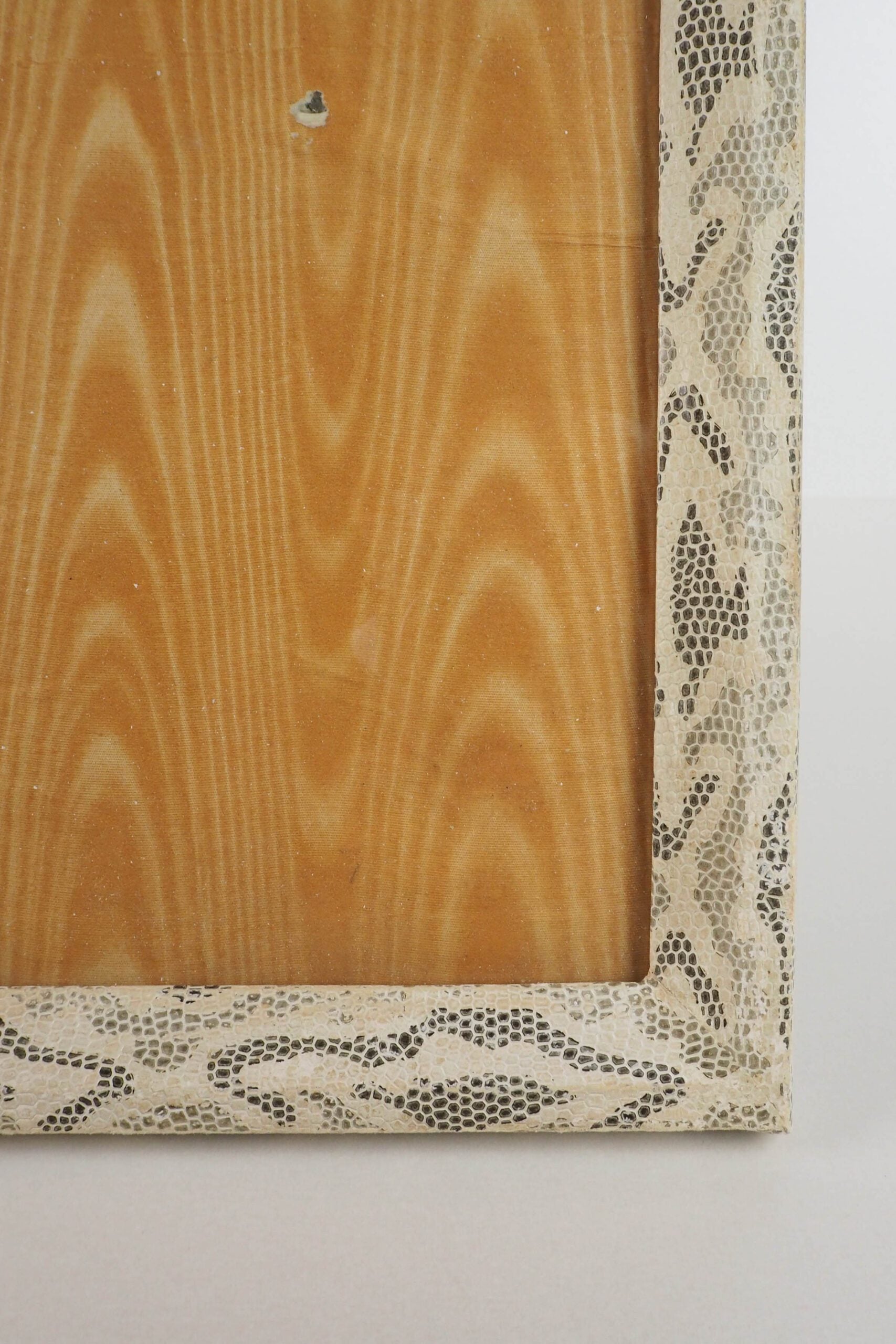 Antique Snake Print Frame