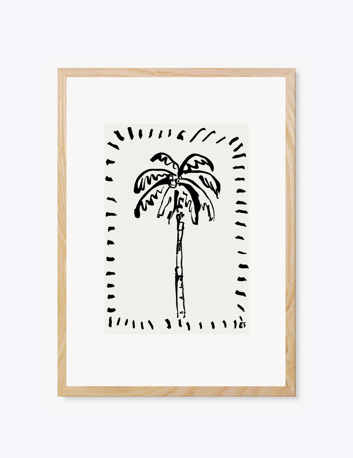 The Coconut Palm