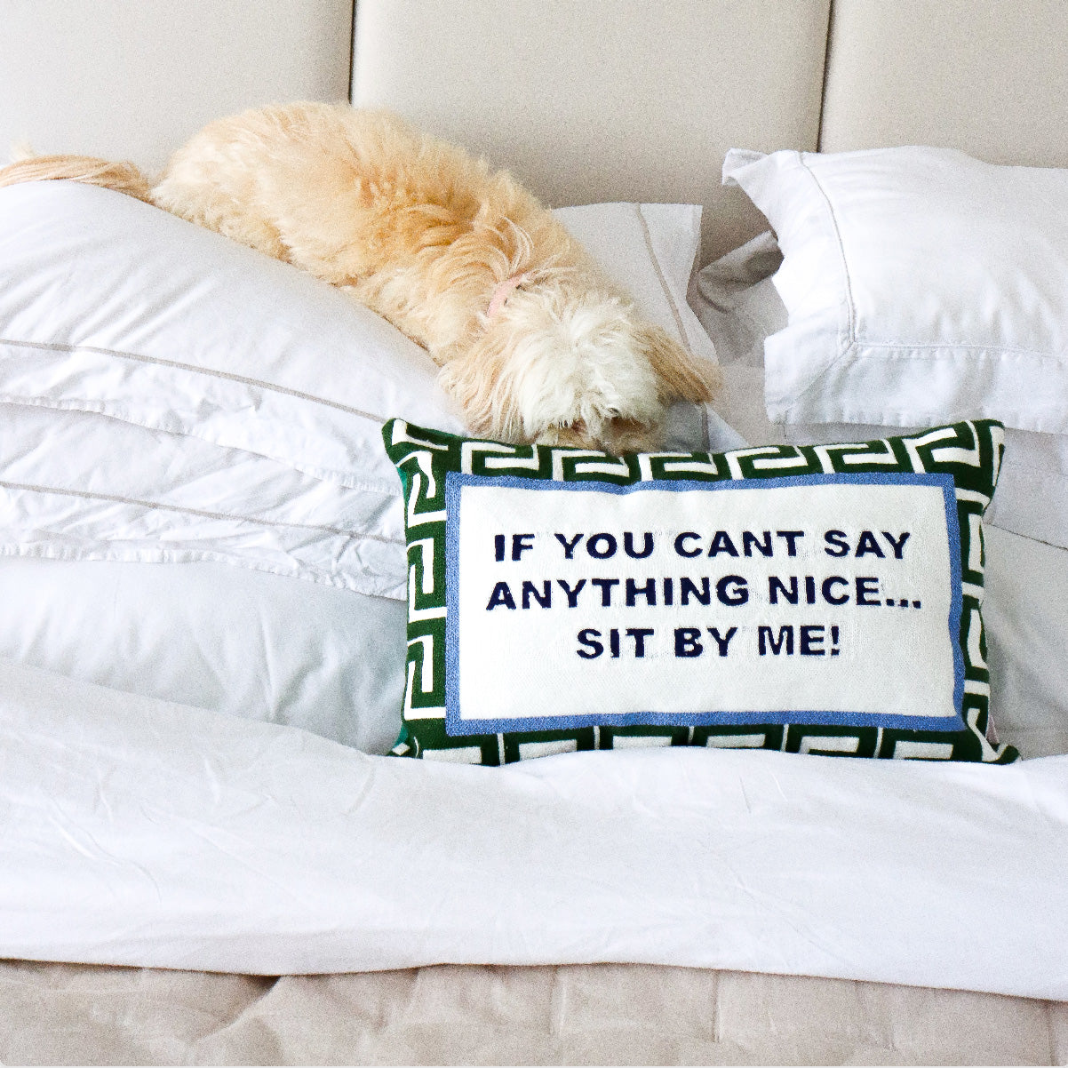 If You Can't Say Anything Nice...Sit By Me Needlepoint Cushion