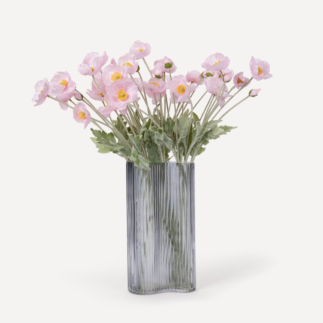 Lavender11.jpg?output=png&maxage=31d&w=1048&h=1048&fit=contain&we&n=-1