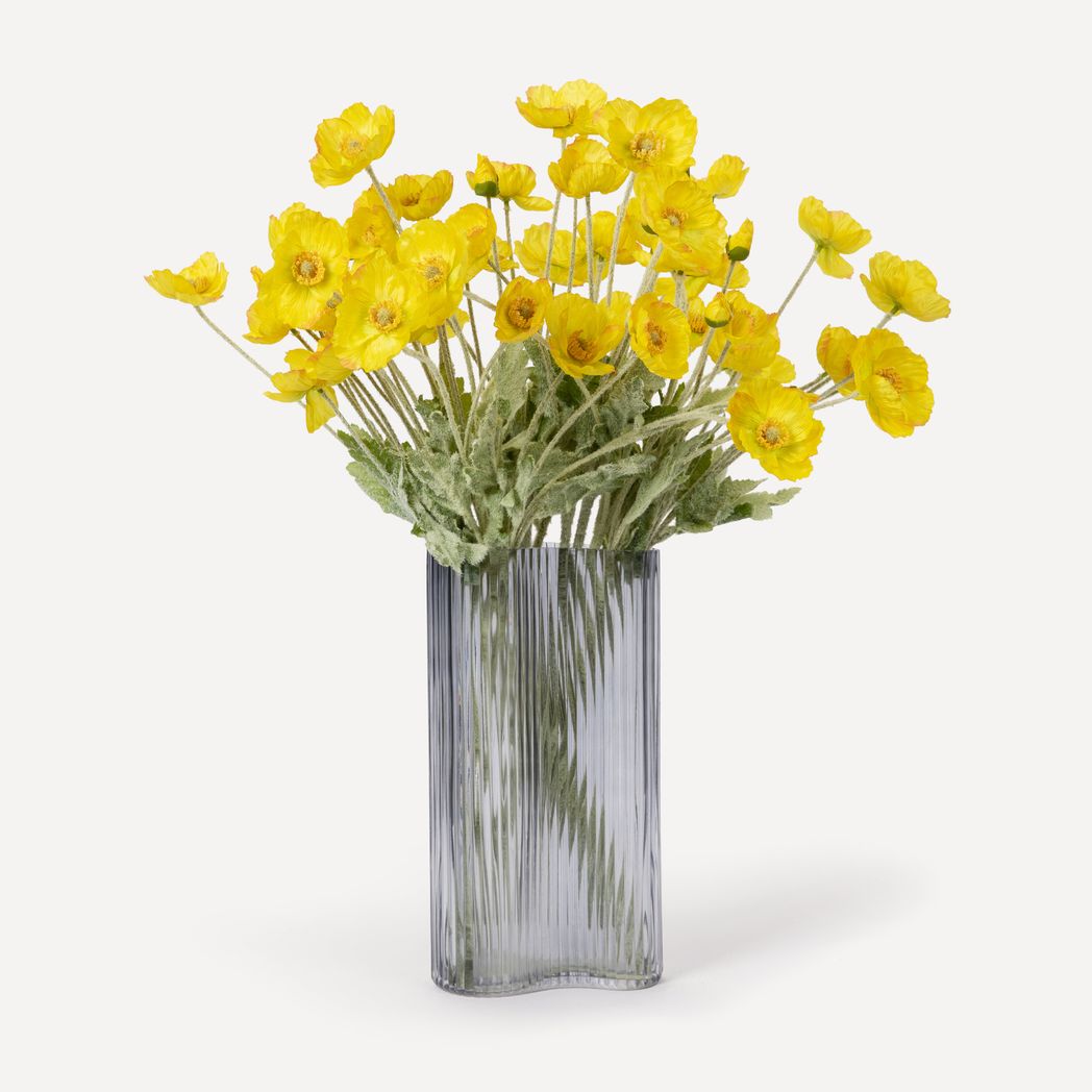 Yellow14.jpg?output=png&maxage=31d&w=1048&h=1048&fit=contain&we&n=-1