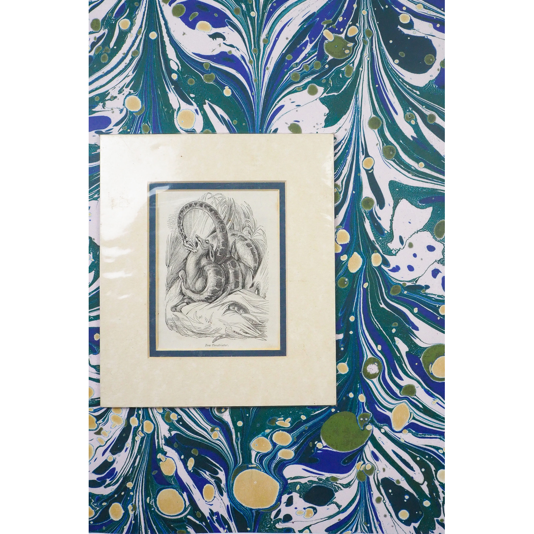 P1011841-scaled.jpg?output=png&maxage=31d&w=1048&h=1048&fit=contain&we&n=-1