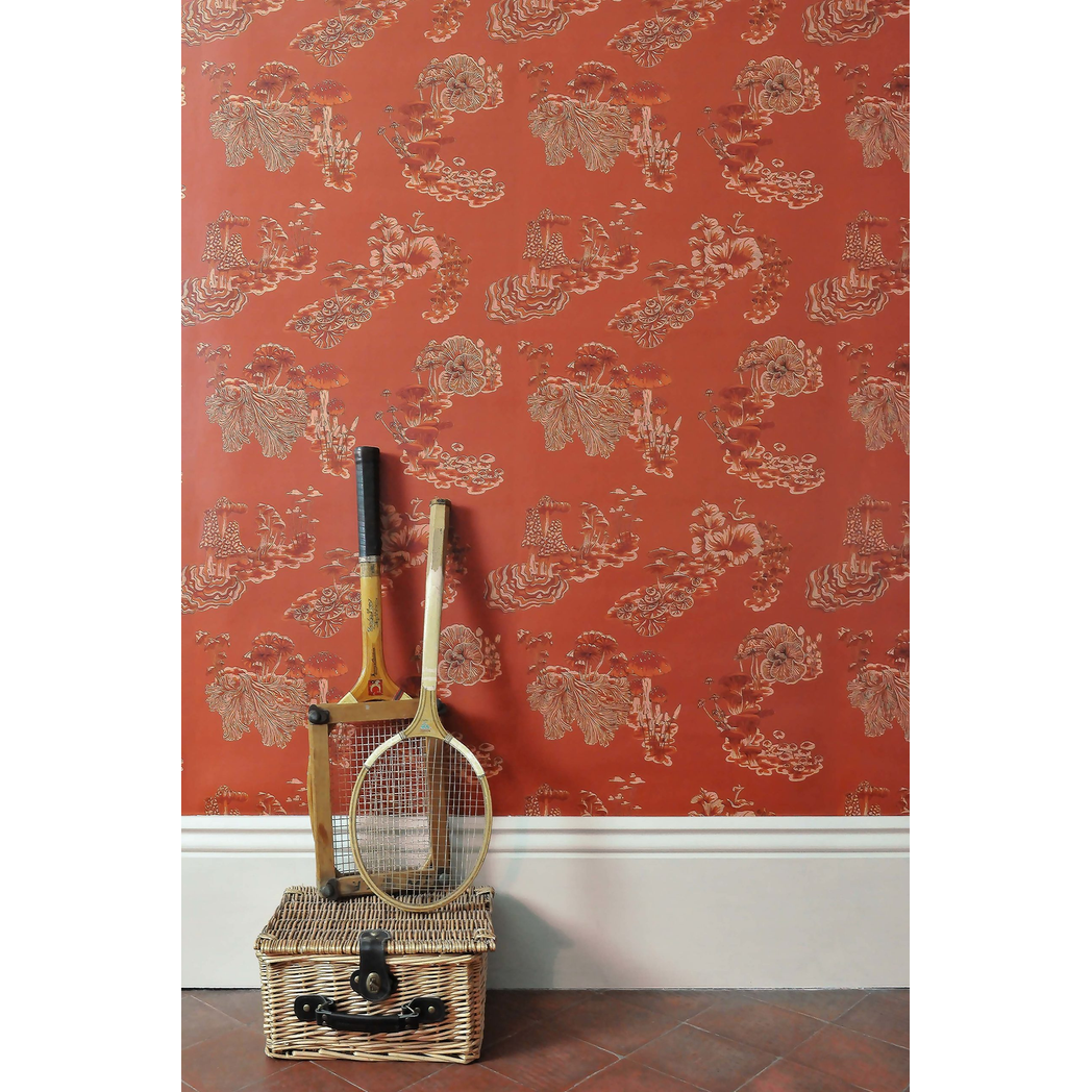 Fungi Aleuria Wallpaper