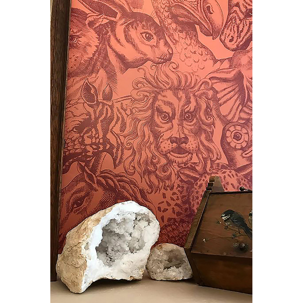 RARA-ALEURIA-WEB-scaled.jpg?output=png&maxage=31d&w=1048&h=1048&fit=contain&we&n=-1