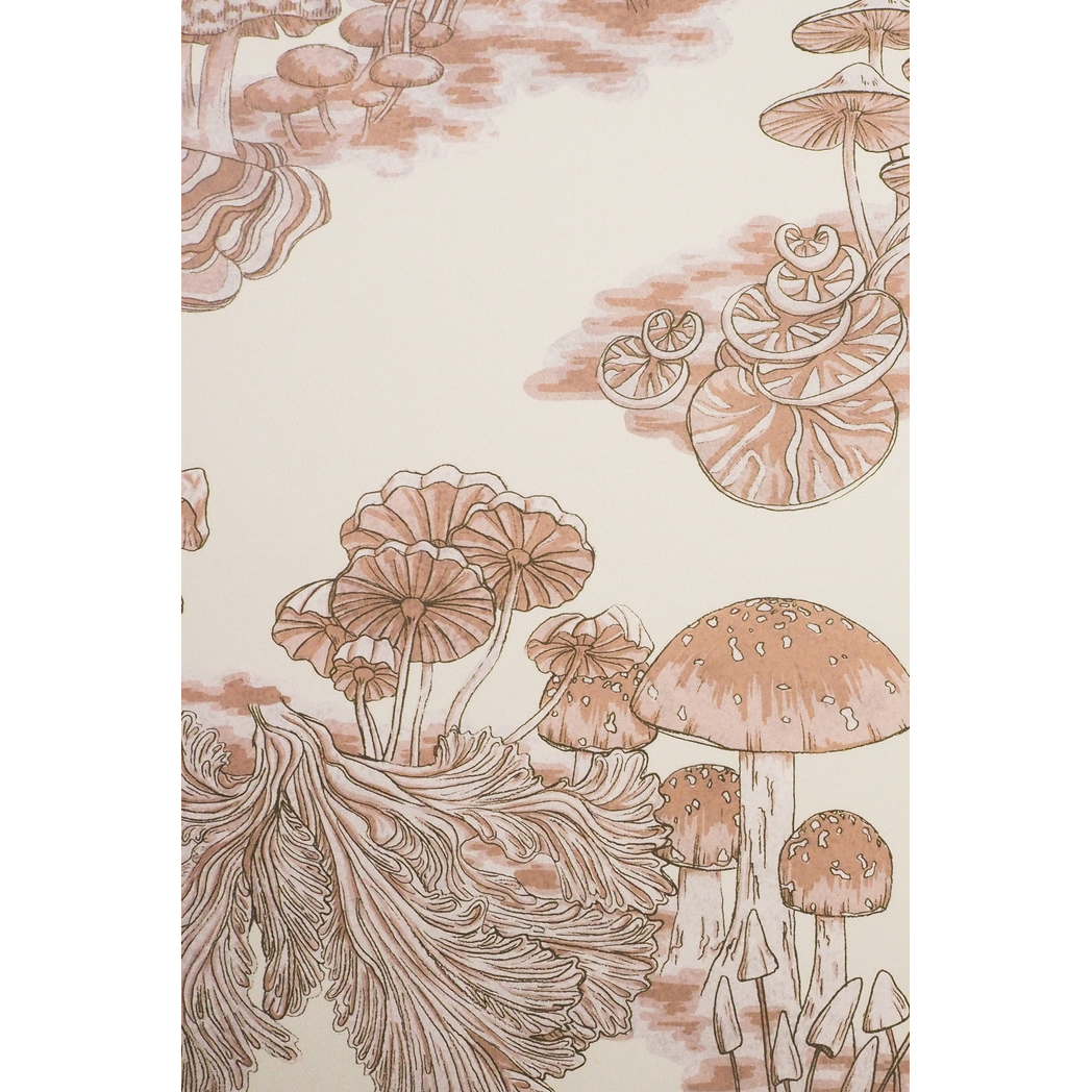 P1011932-scaled.jpg?output=png&maxage=31d&w=1048&h=1048&fit=contain&we&n=-1