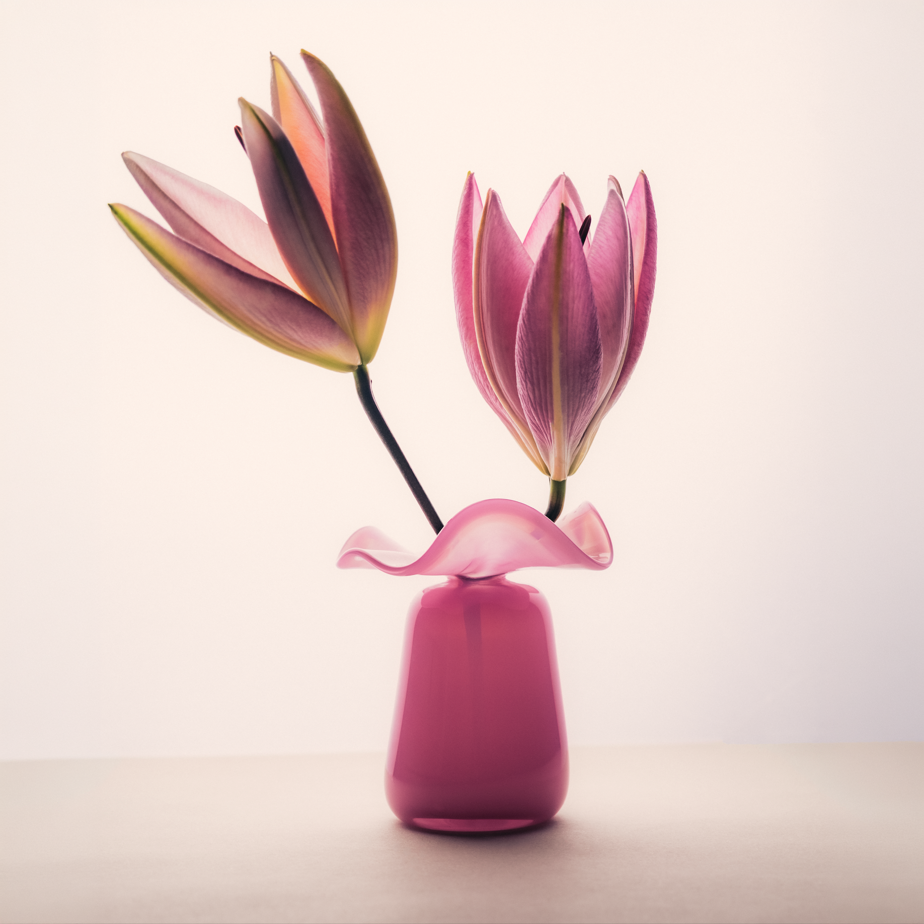Handmade Glass Ruffle Bud Vase | Pink