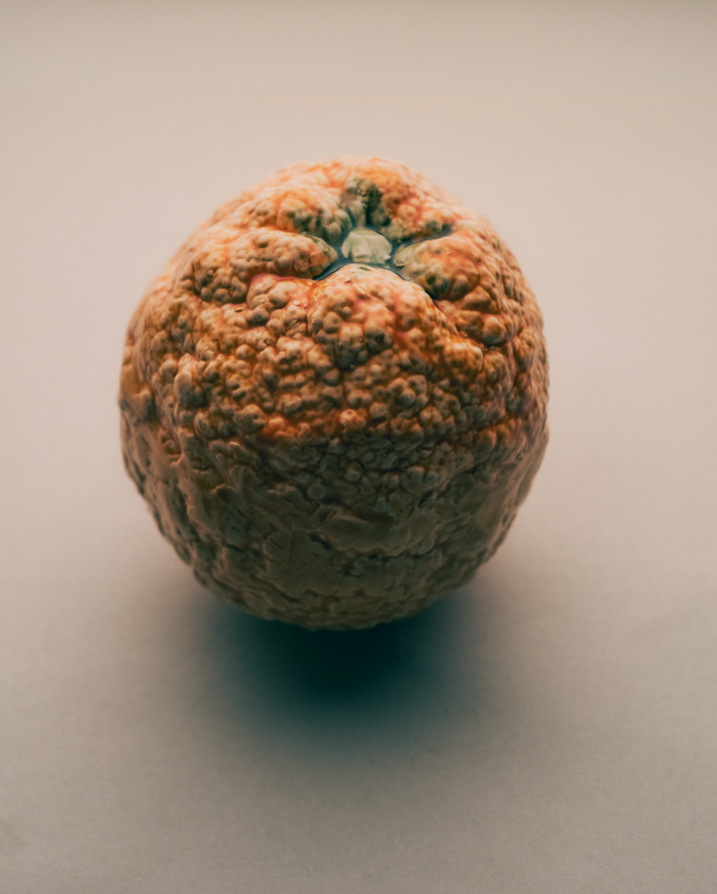 Marla Primrose Handmade Ceramic Glazed Orange – Orange