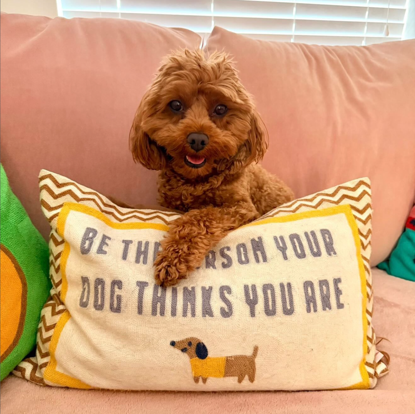 Be The Person Your Dog Thinks You Are Needlepoint Cushion