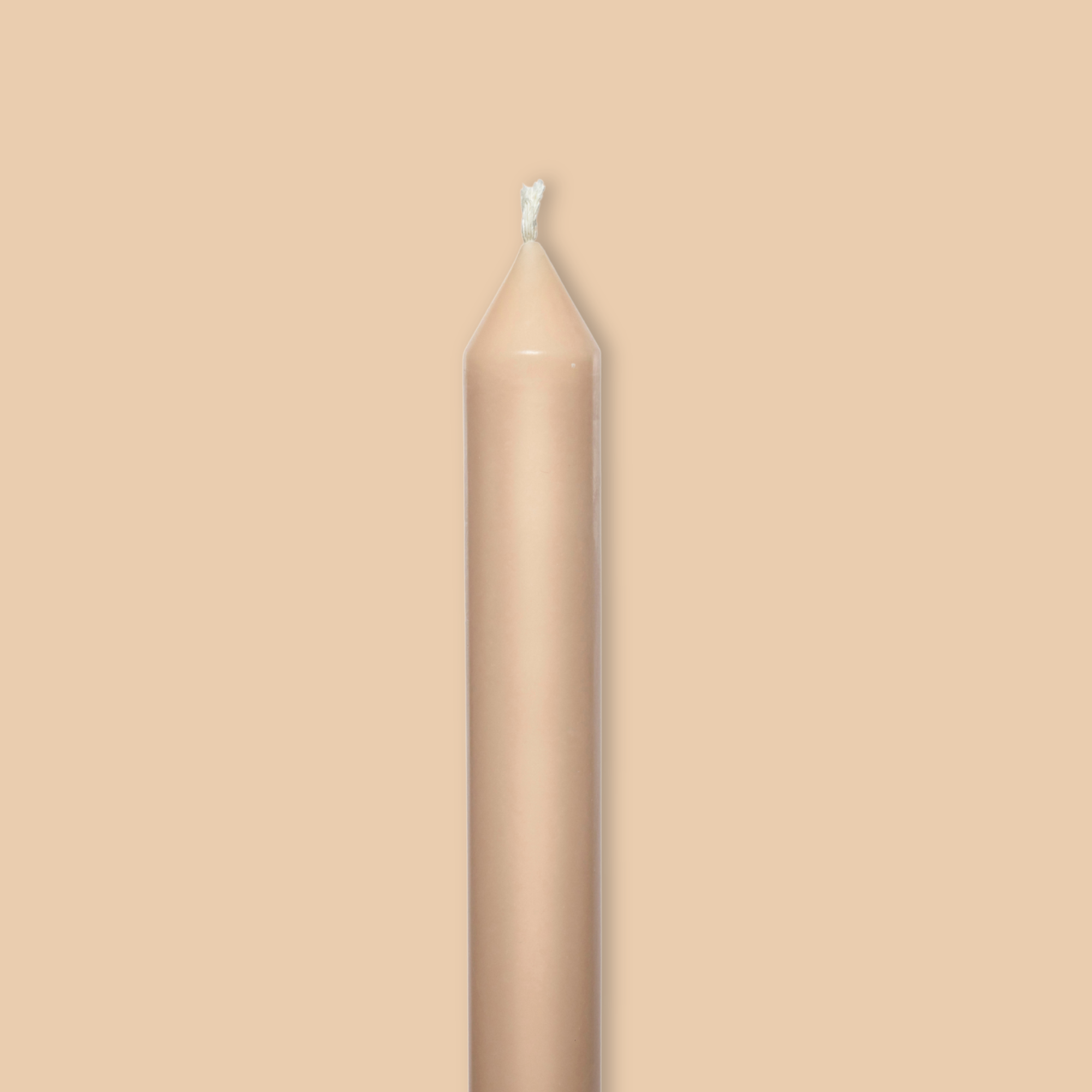 Shell Tapered Candle Pair