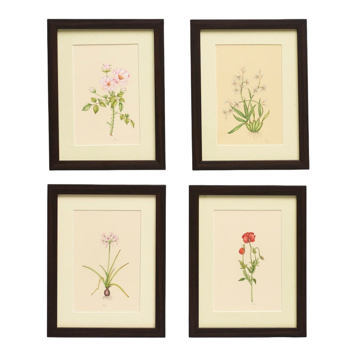 English Garden' - Original Hand Painted Watercolours of Flowers (Set of 4)