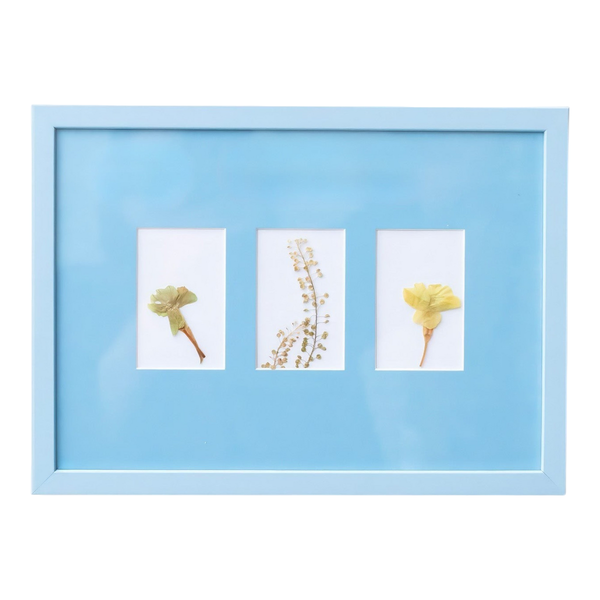Sky Blue A4 Instax Mini x 3 Picture Mount