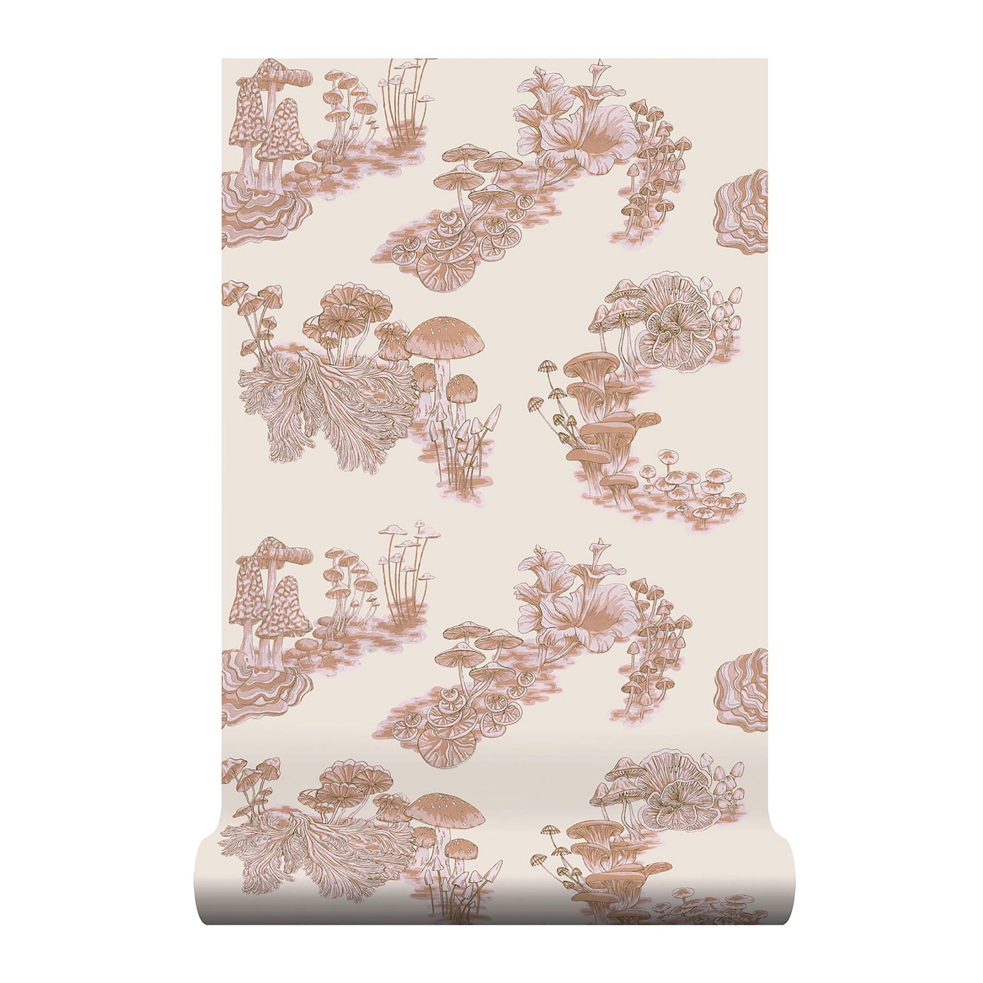 Fungi Champignon Wallpaper