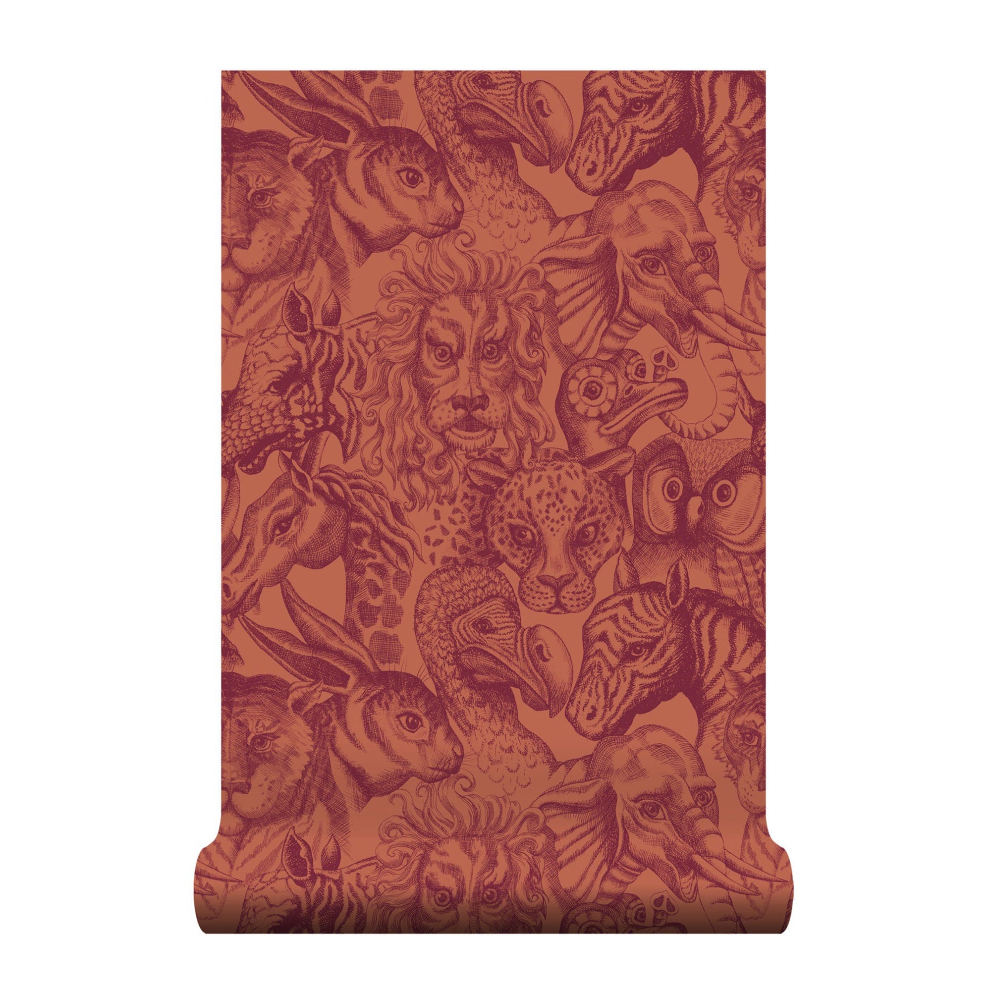 Rara Aleuria Wallpaper