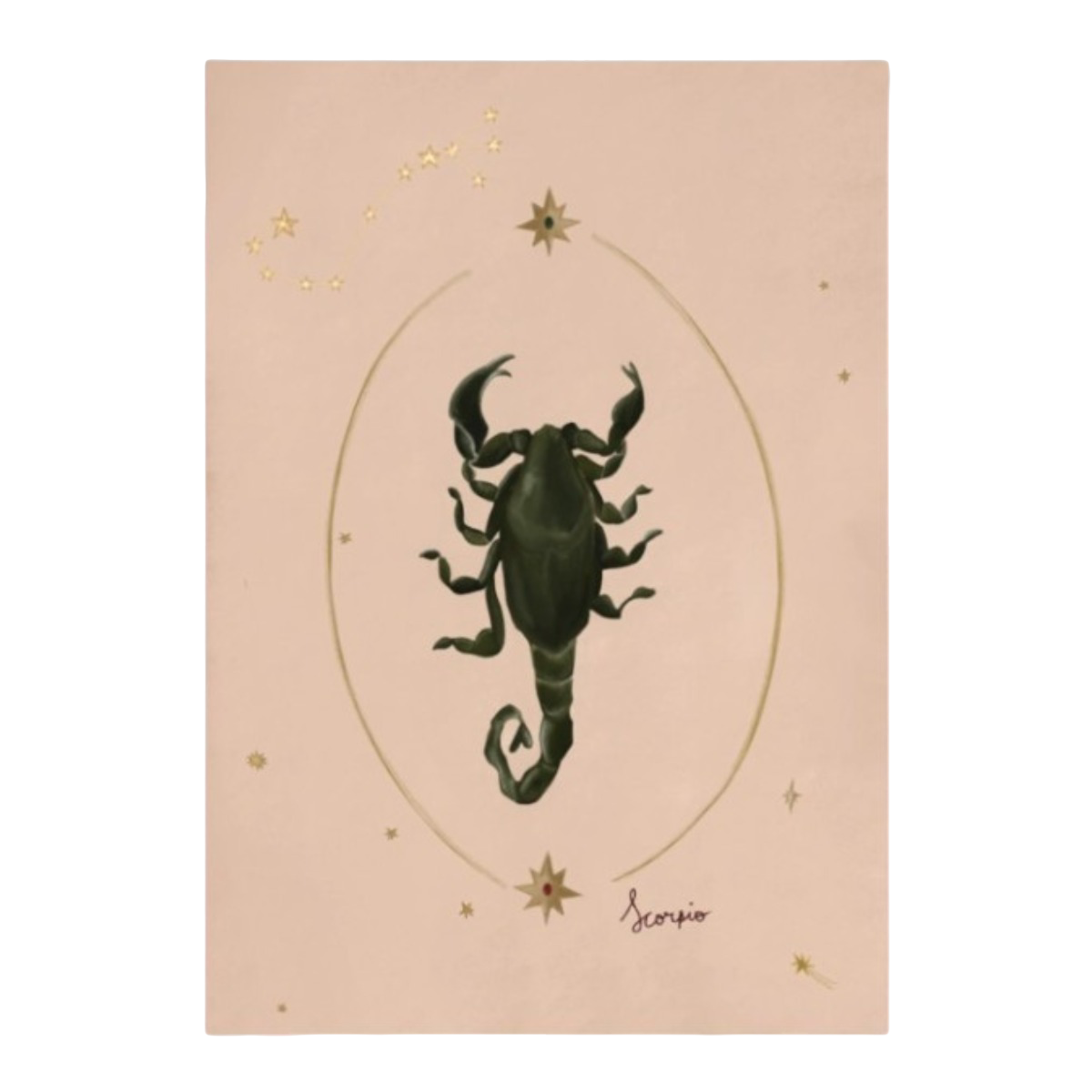 Scorpio Art Print
