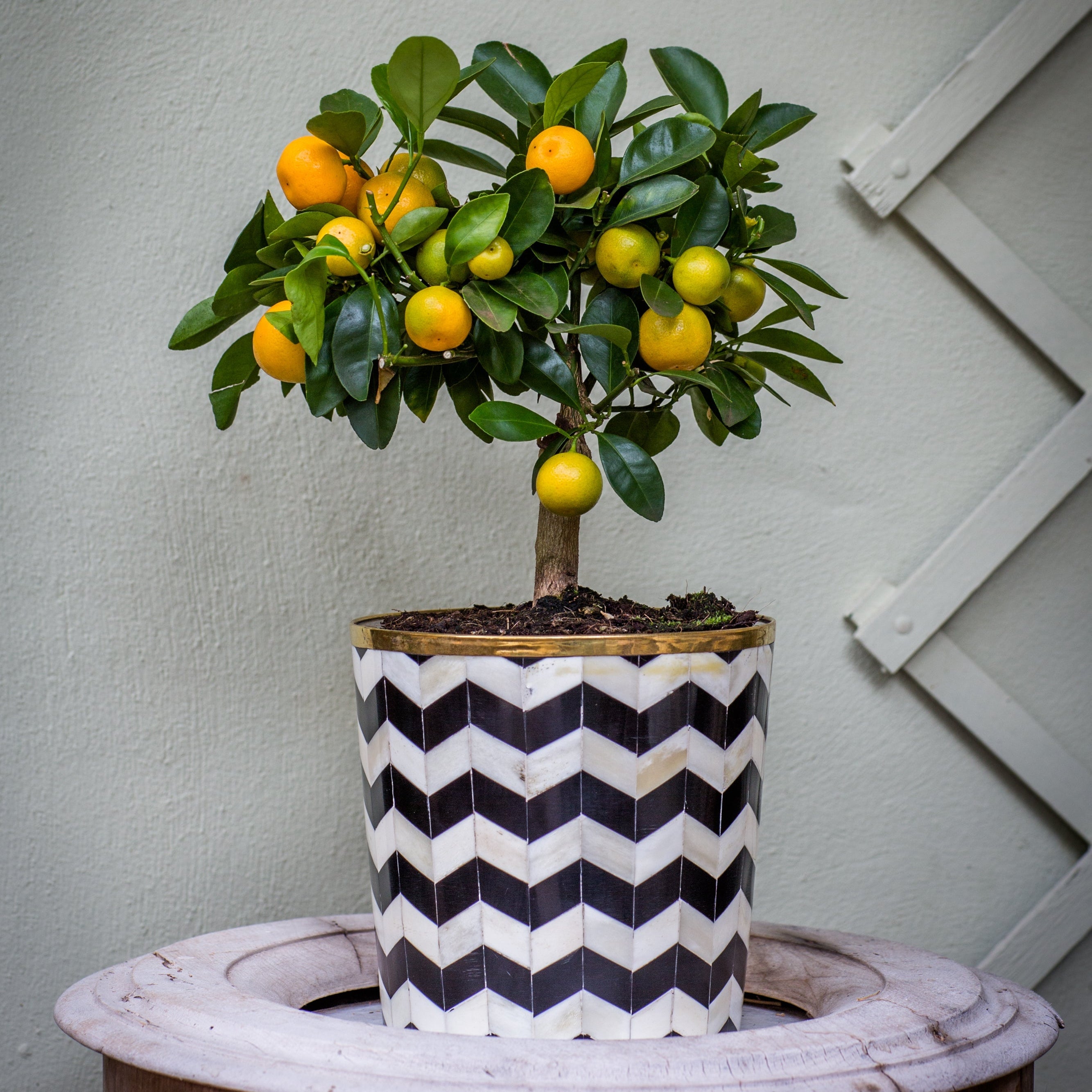 Round Inlay Planter | Medium | Black | Chevron