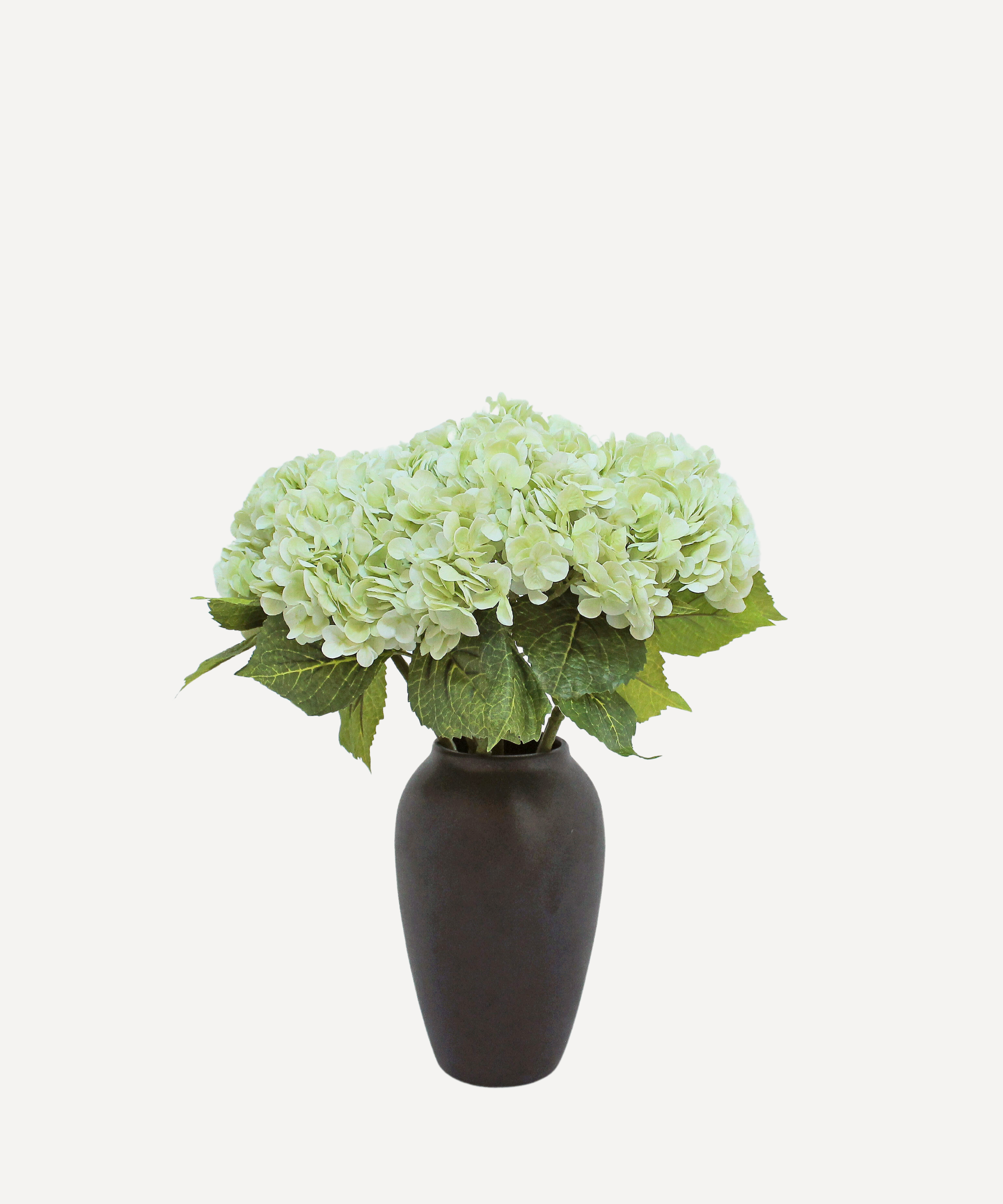 LightGreen7.png