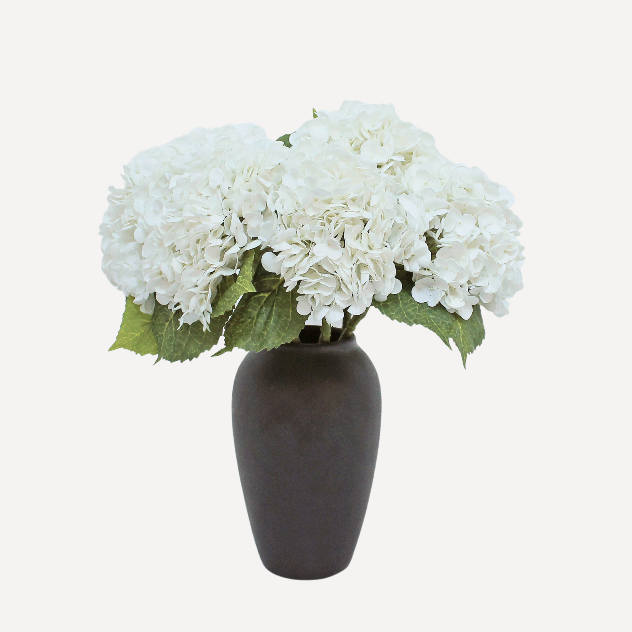 White7.png