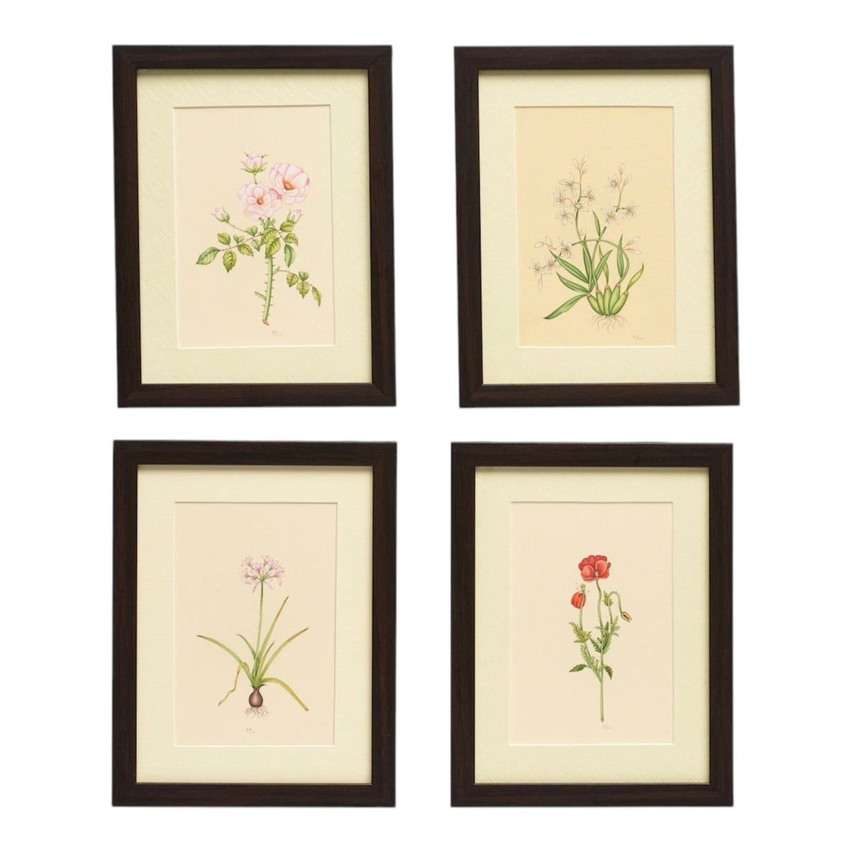 English Garden' - Original Hand Painted Watercolours of Flowers (Set of 4)